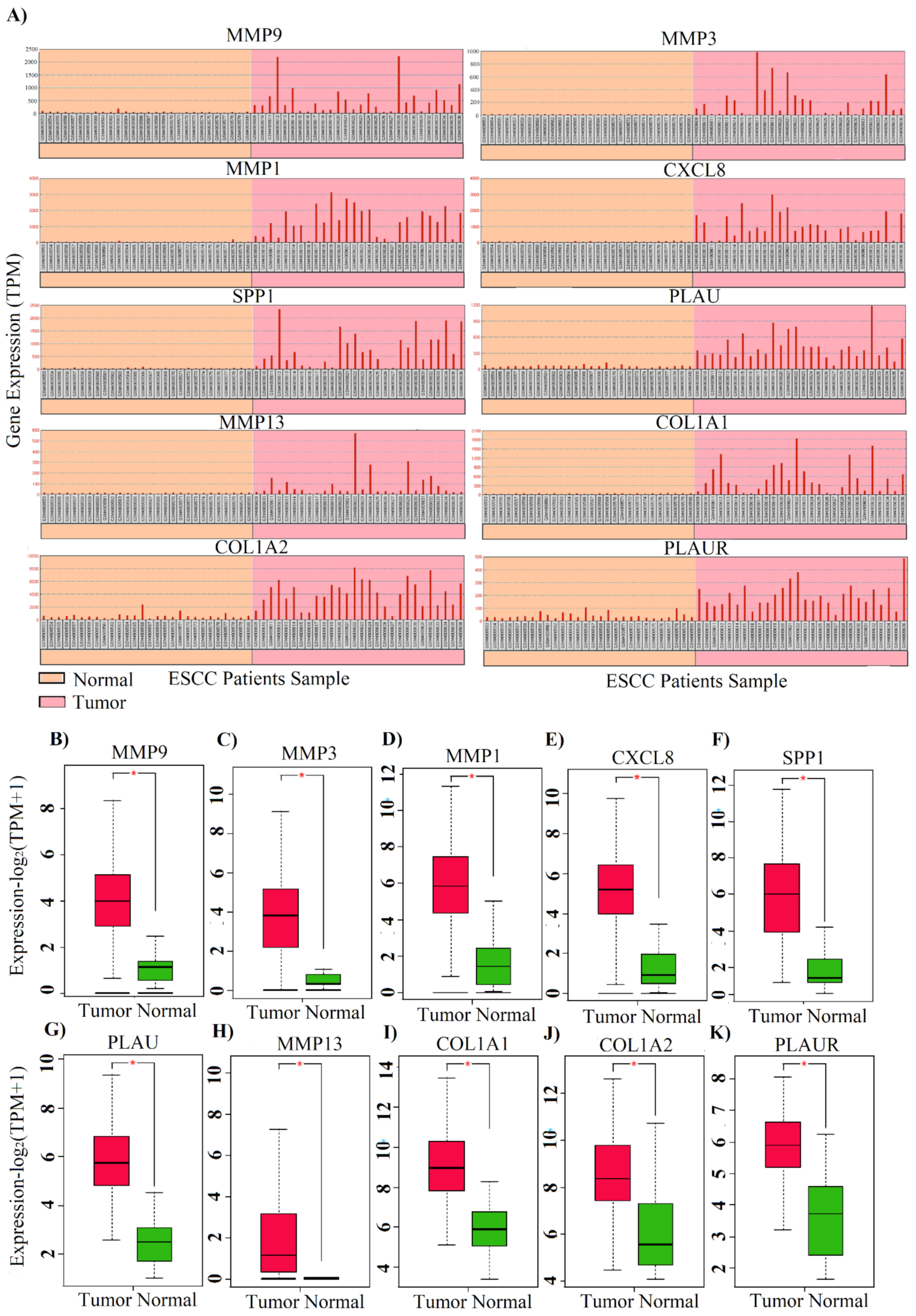 Applsci 12 01083 g003