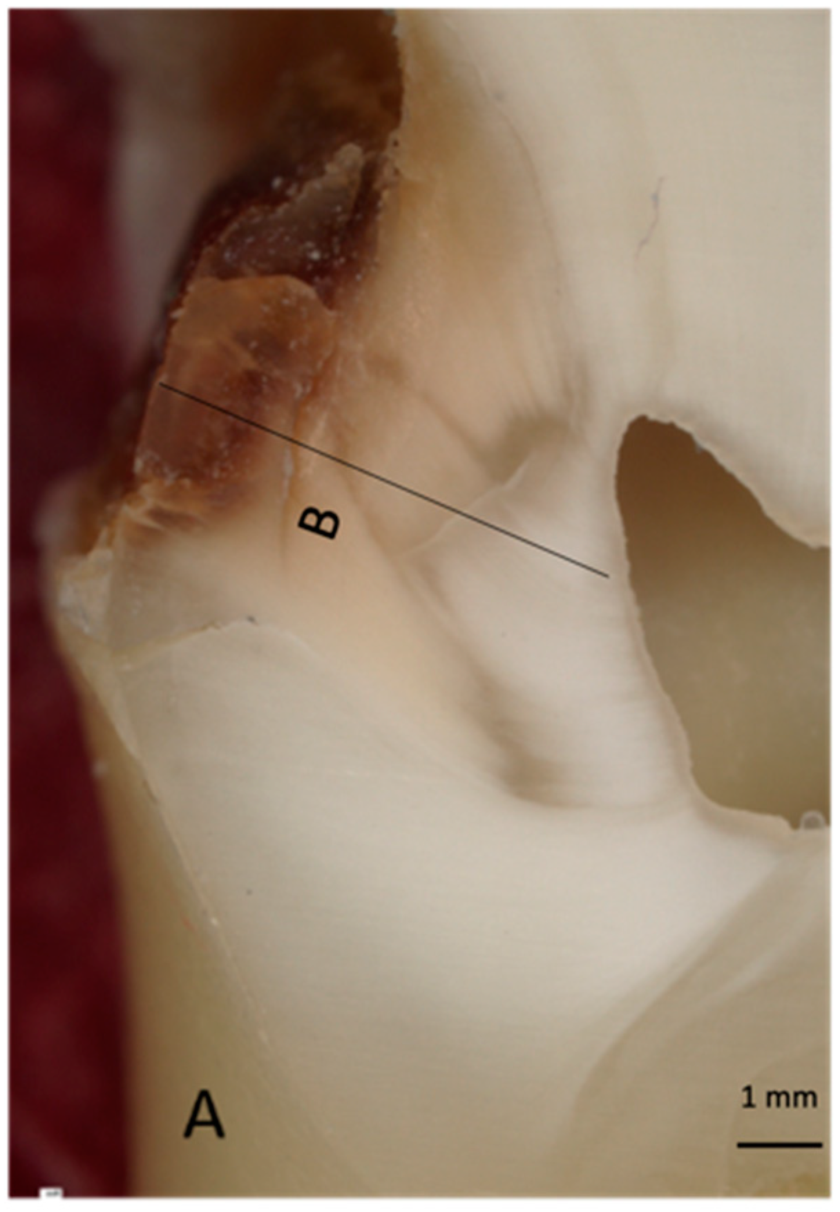 Applsci 12 01088 g002 550