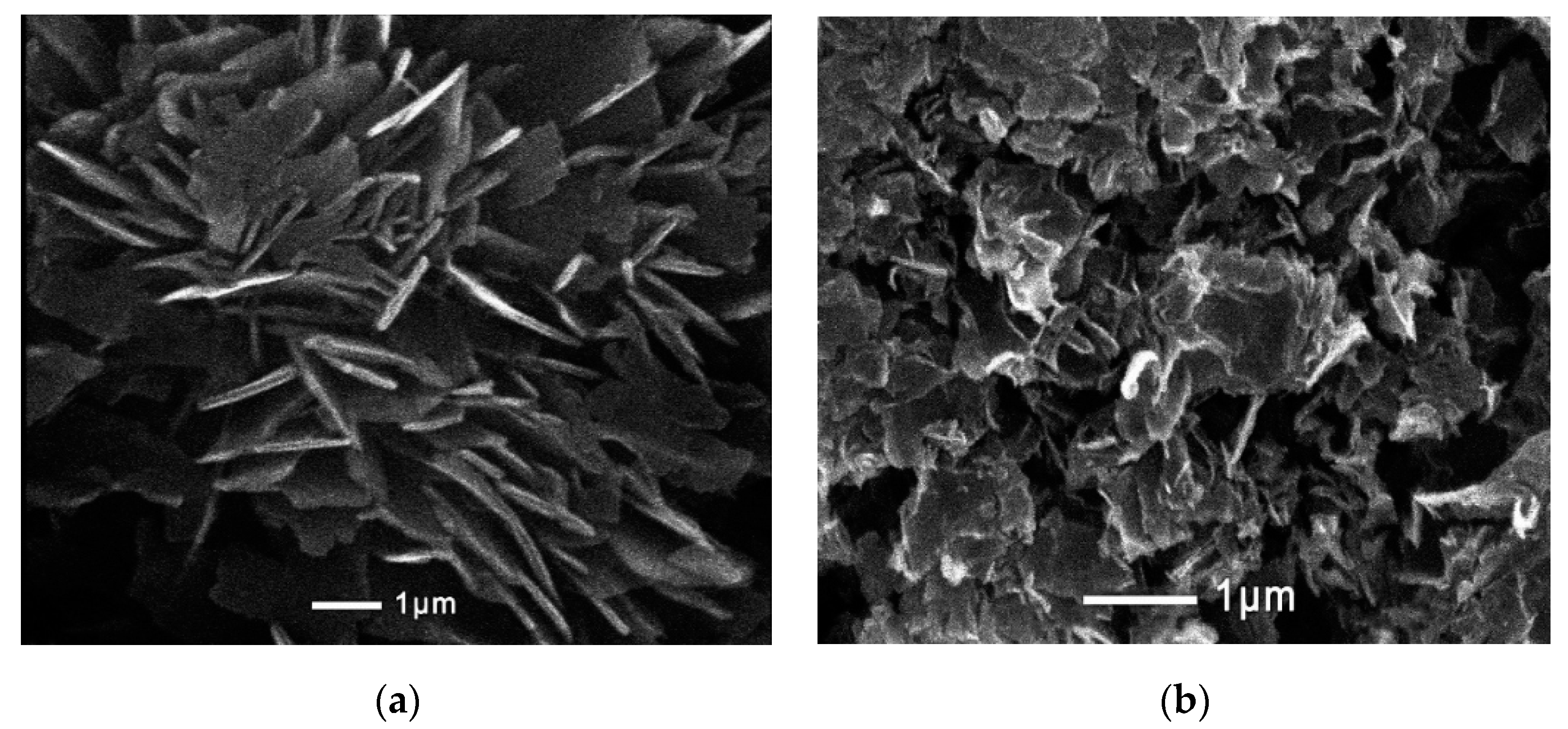 Applsci 12 01096 g003 Applsci 12 01096 g003