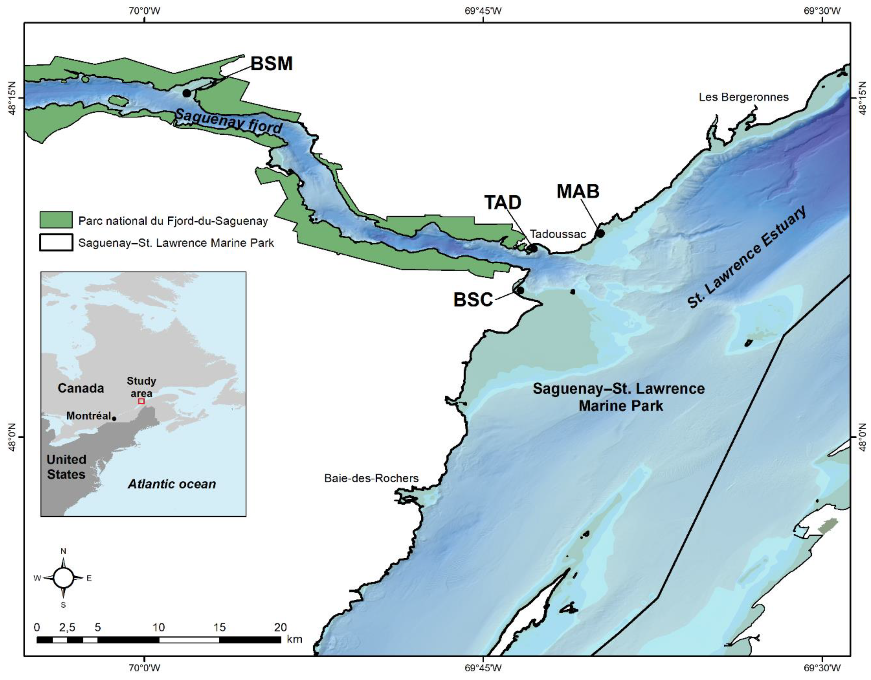 Applsci 12 01106 g001