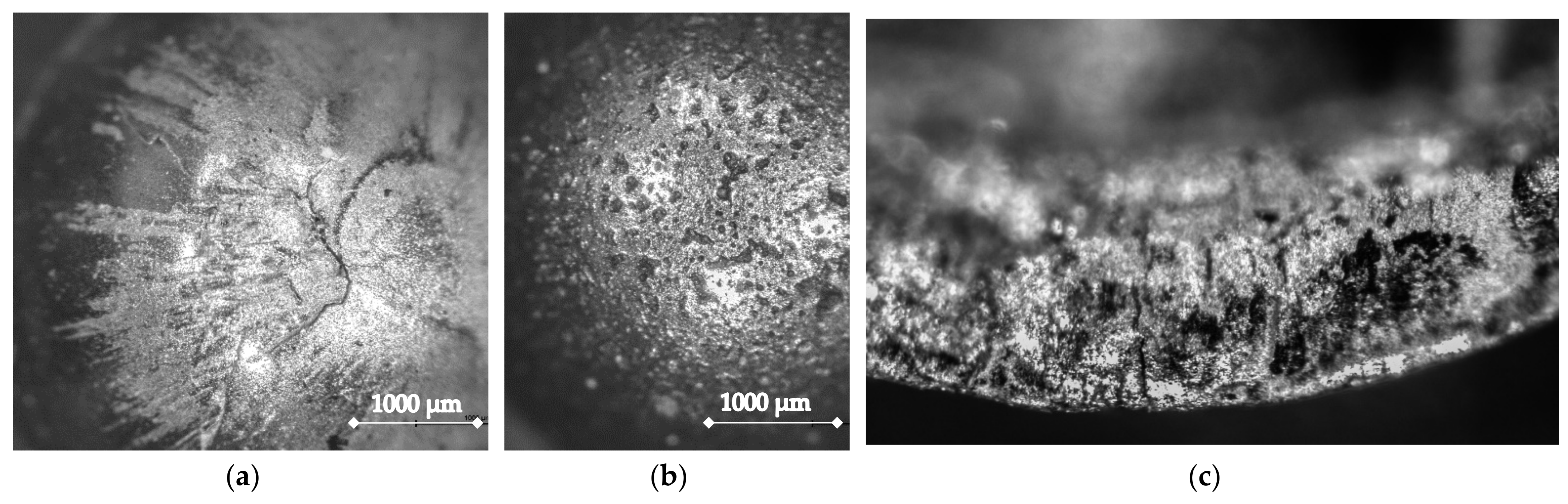 Applsci 12 01133 g003 550