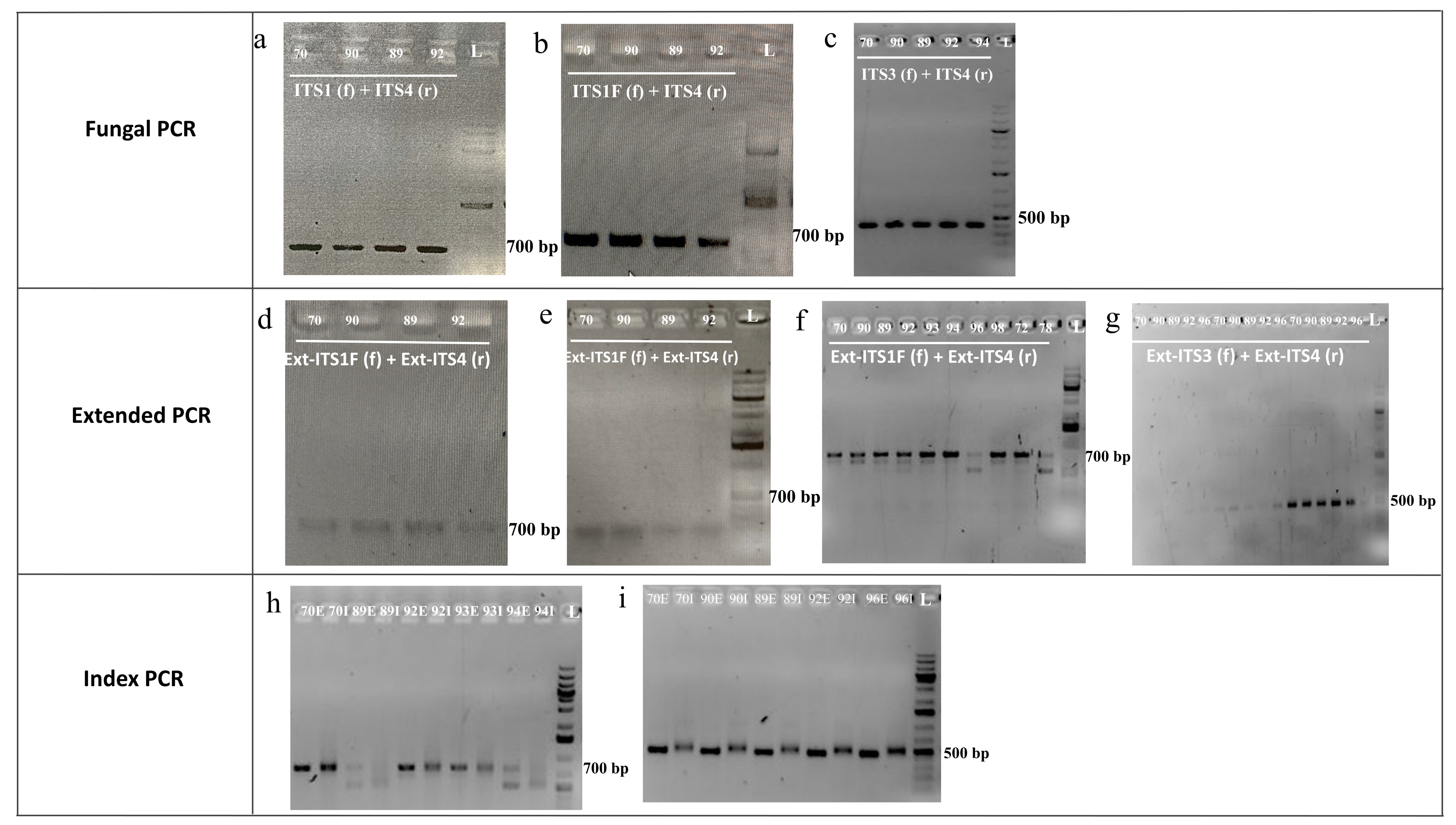 Applsci 12 01136 g003