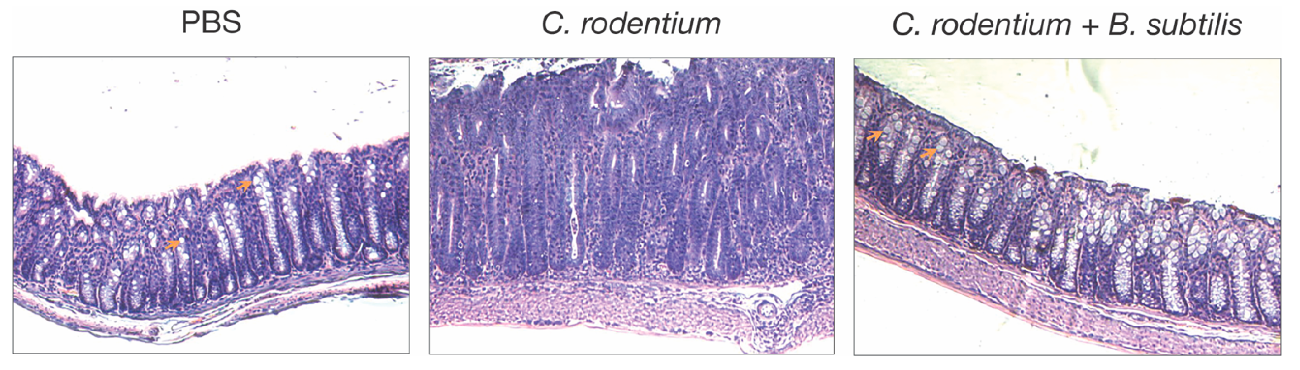 Applsci 12 01147 g001
