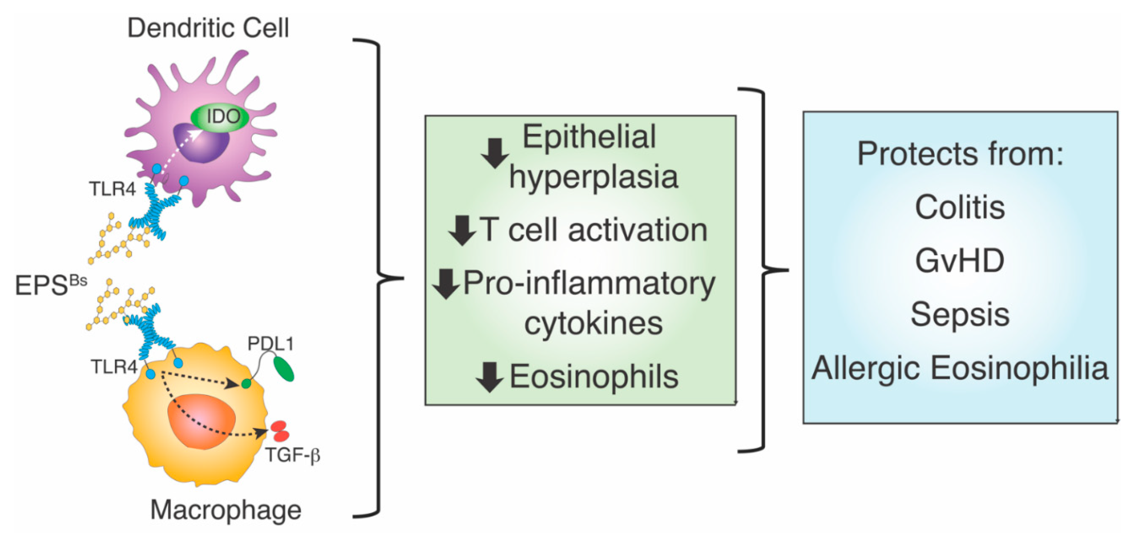 Applsci 12 01147 g003