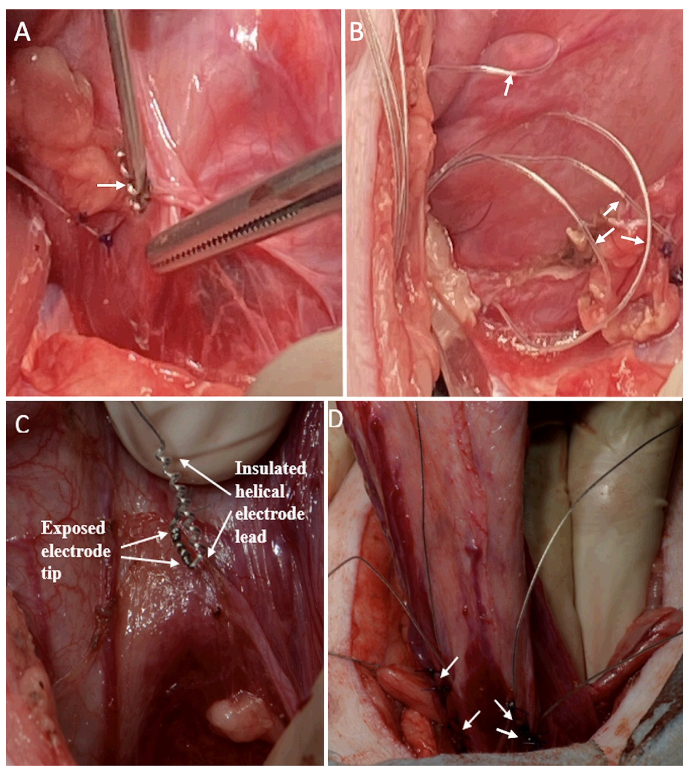 Applsci 12 01149 g003
