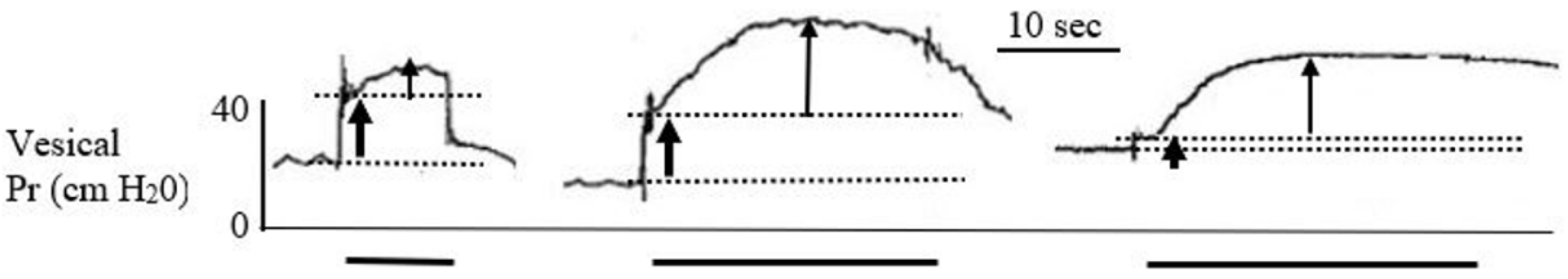 Applsci 12 01149 g004