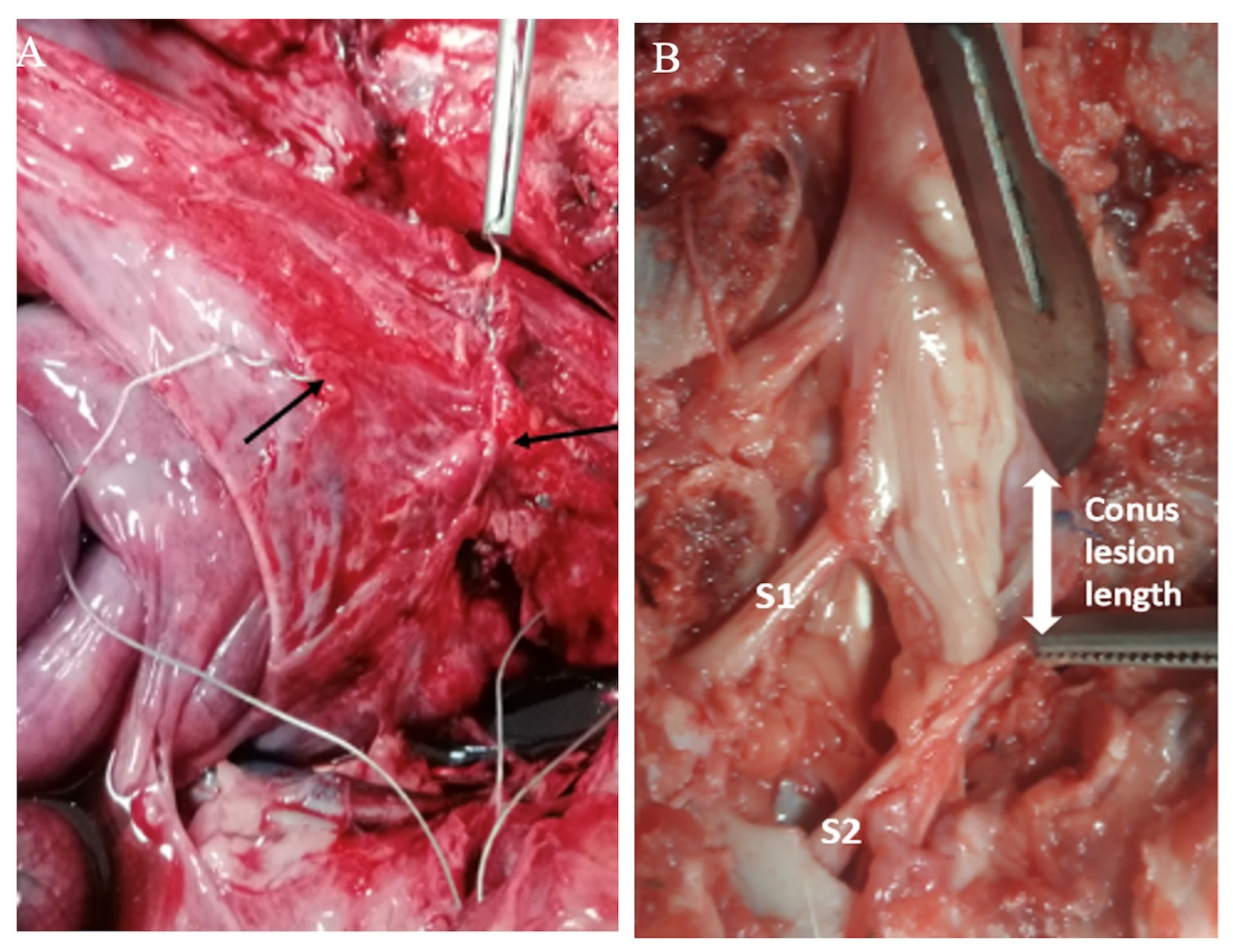 Applsci 12 01149 g005