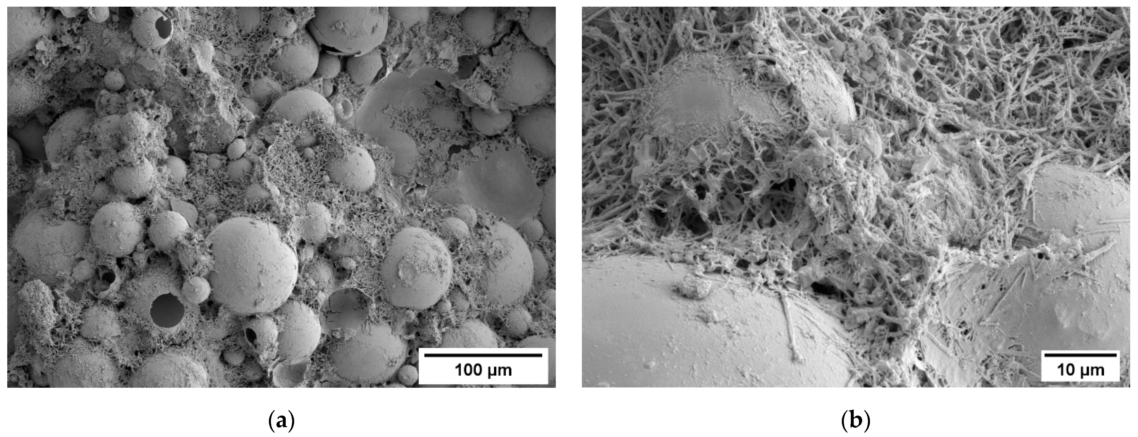 Applsci 12 01152 g005 550