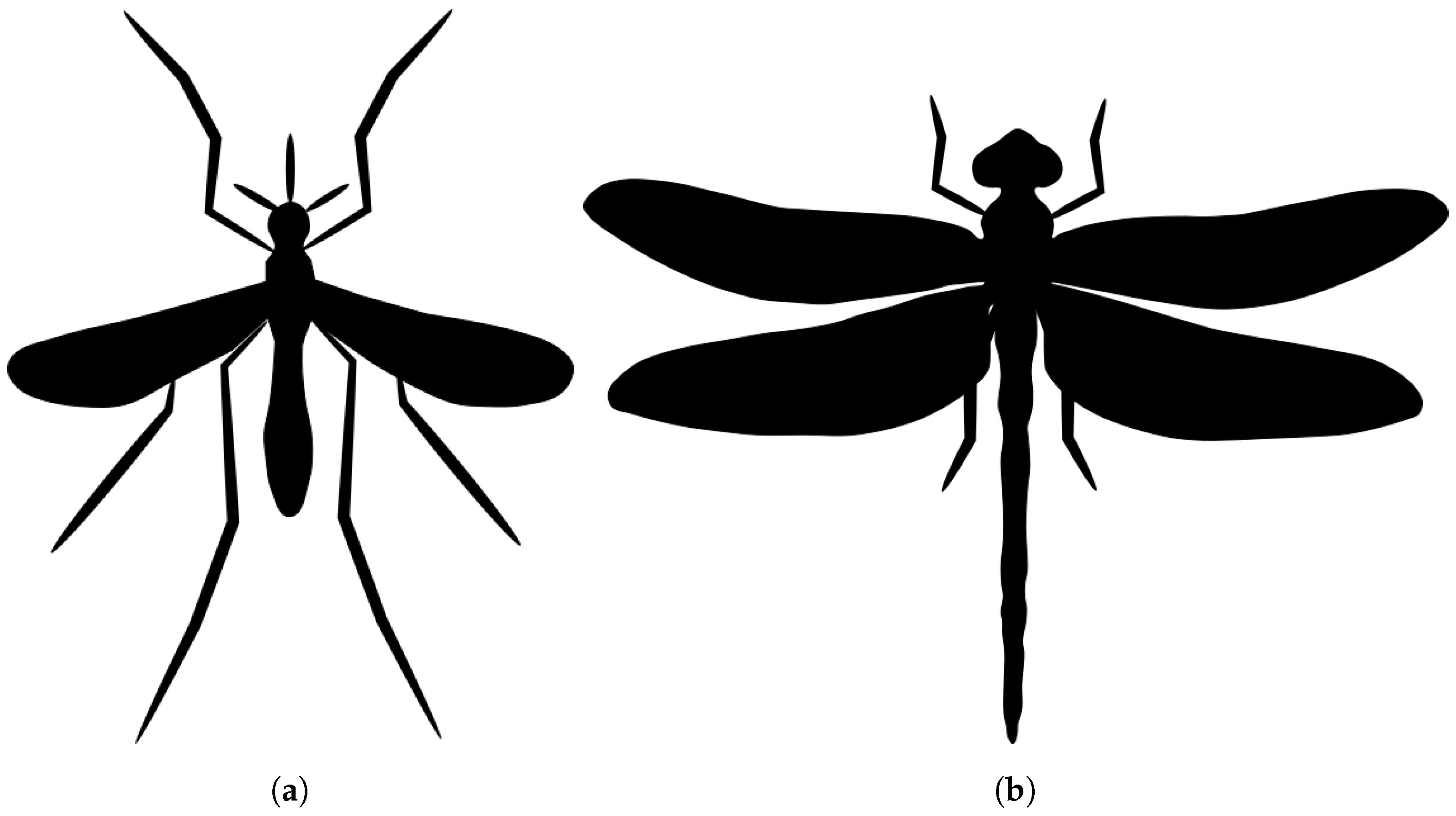 Applsci 12 01162 g001