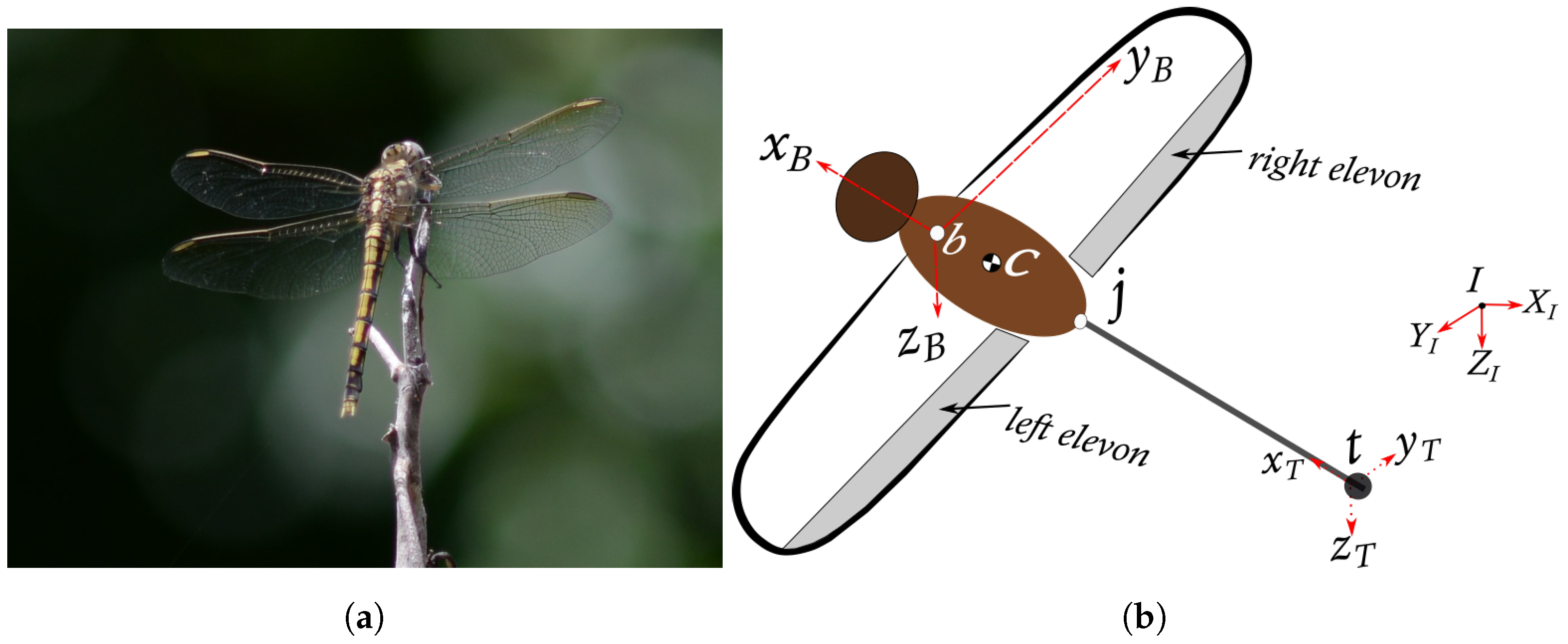 Applsci 12 01162 g002