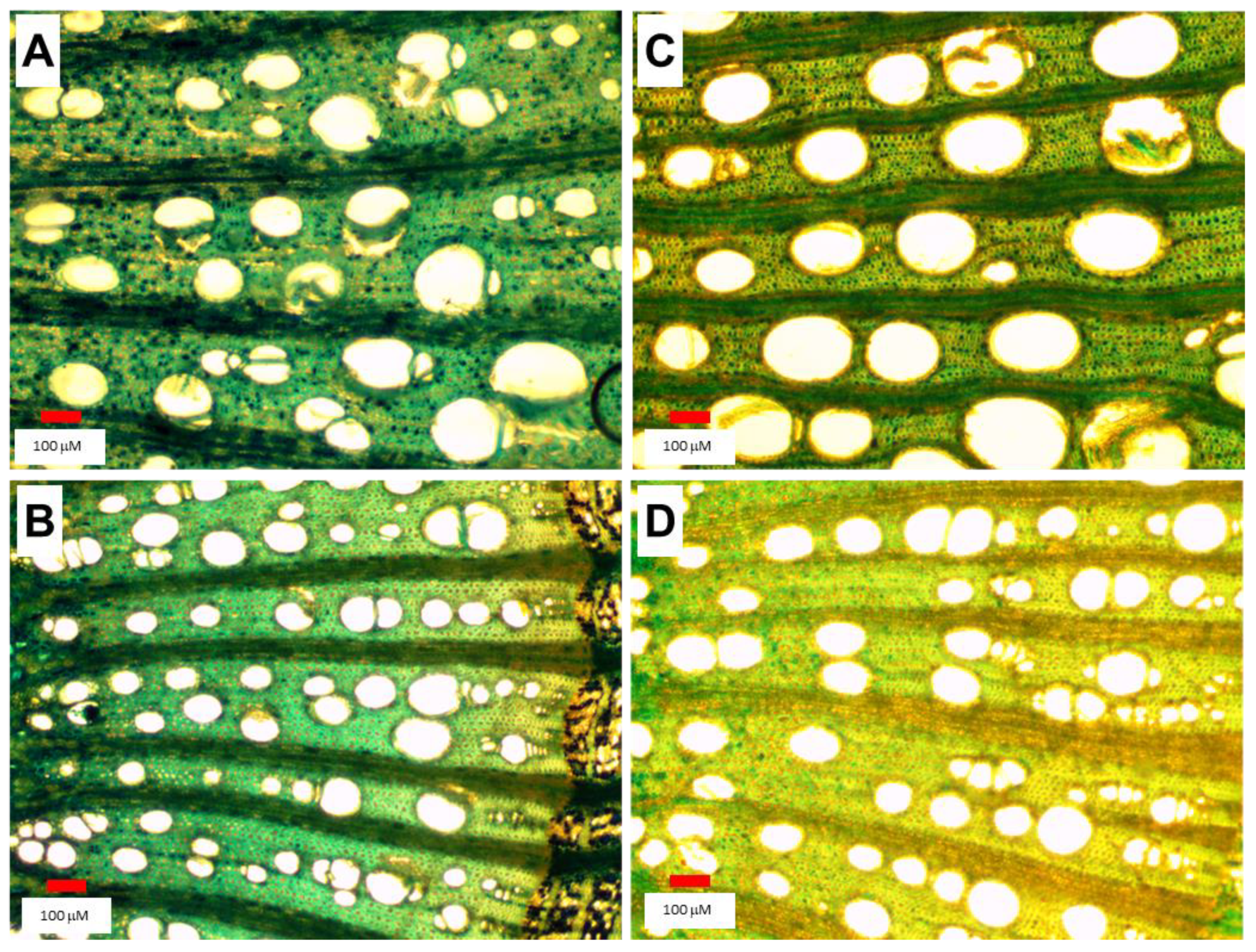 Applsci 12 01177 g003