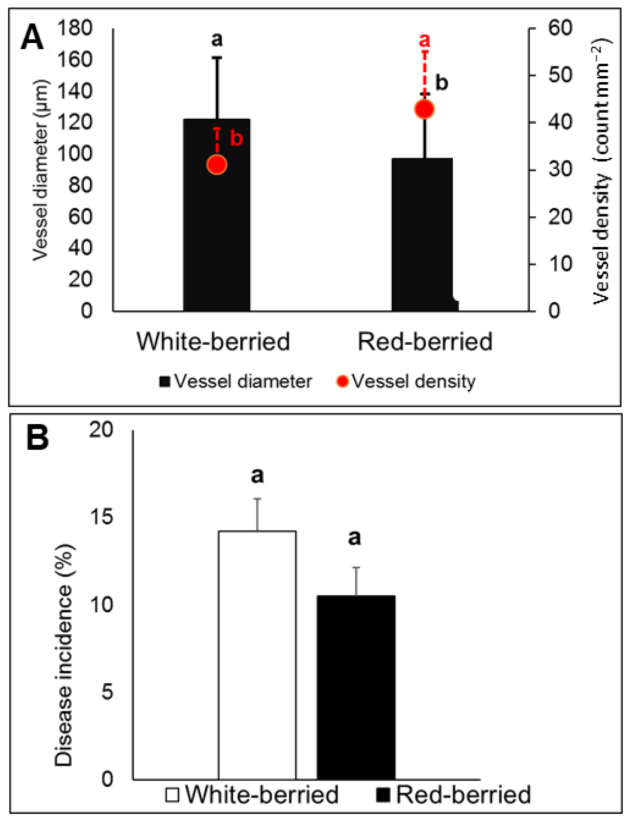 Applsci 12 01177 g009