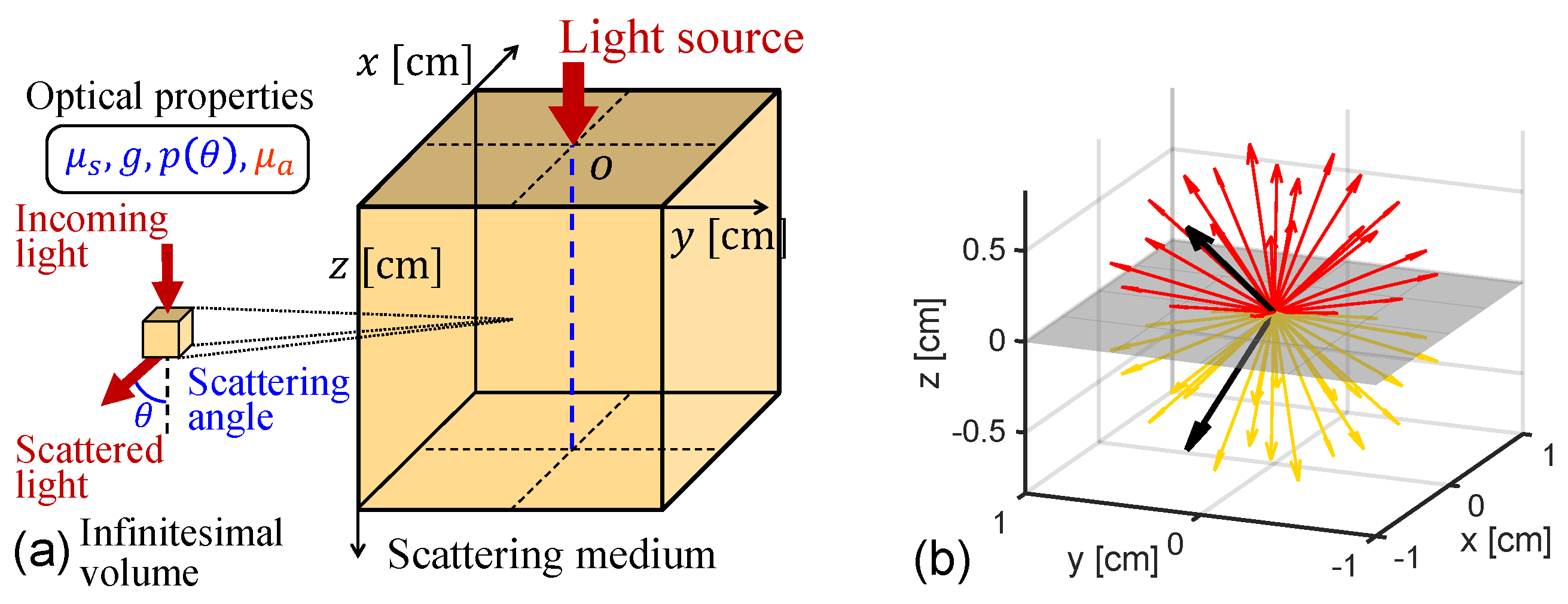 Absorption and Scattering of Light by Small Particles by