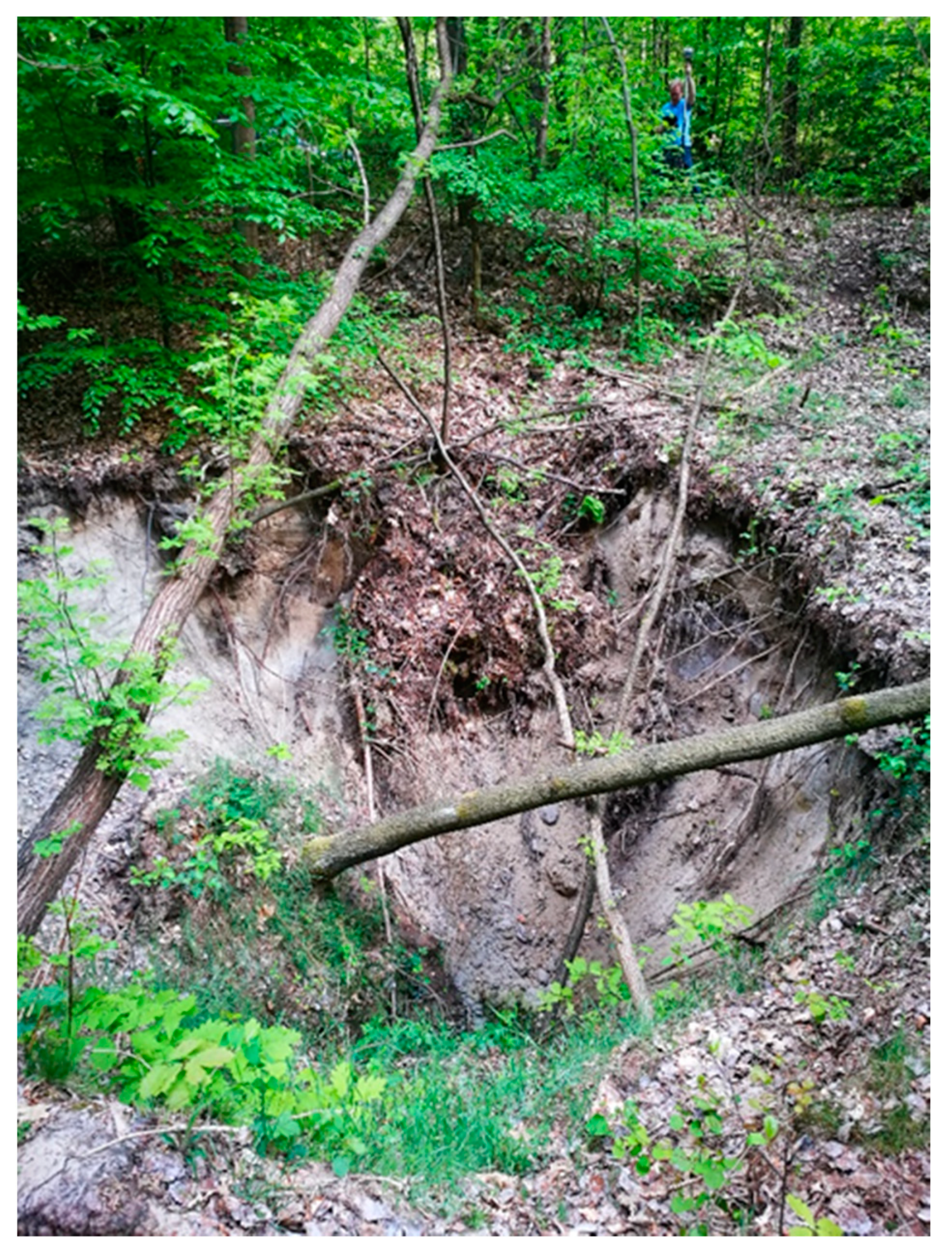 Applsci 12 01194 g011 Applsci 12 01194 g011