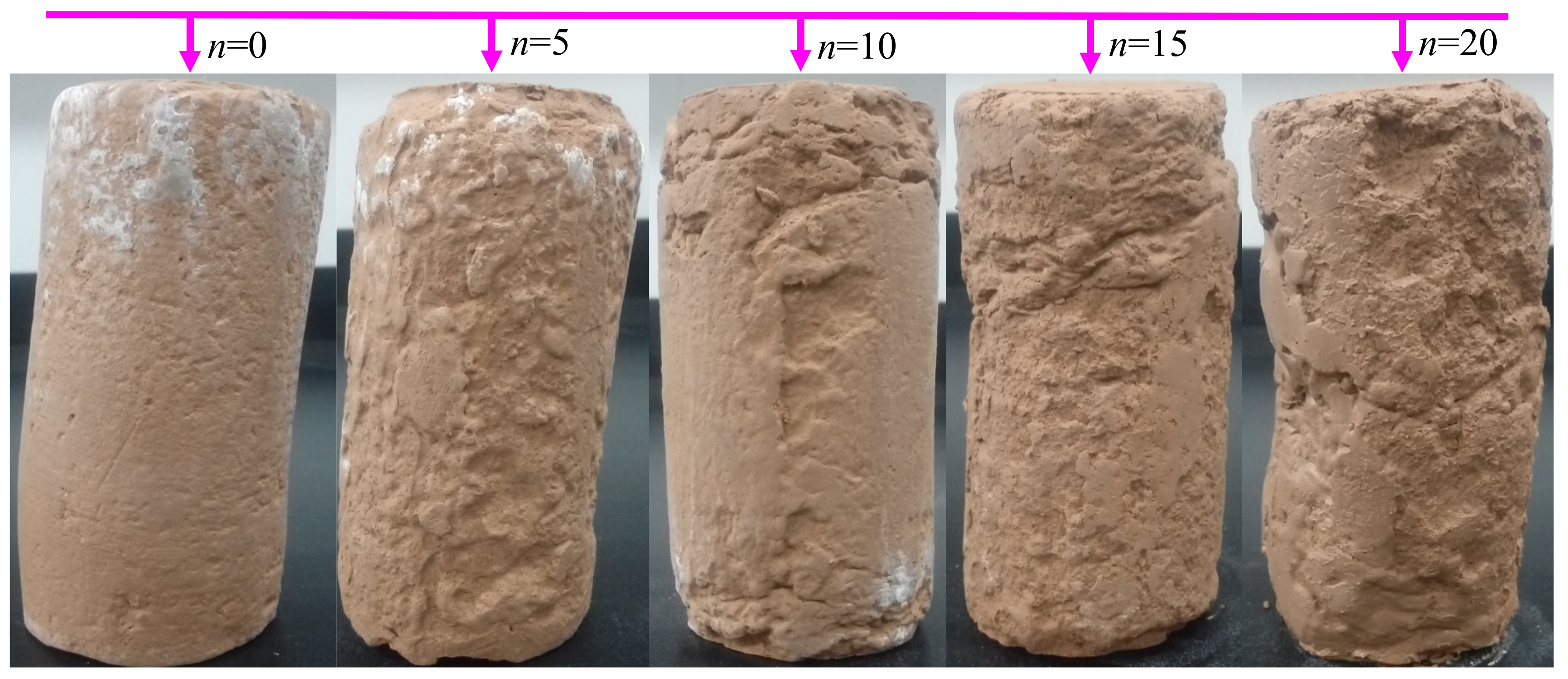 Applsci 12 01212 g012