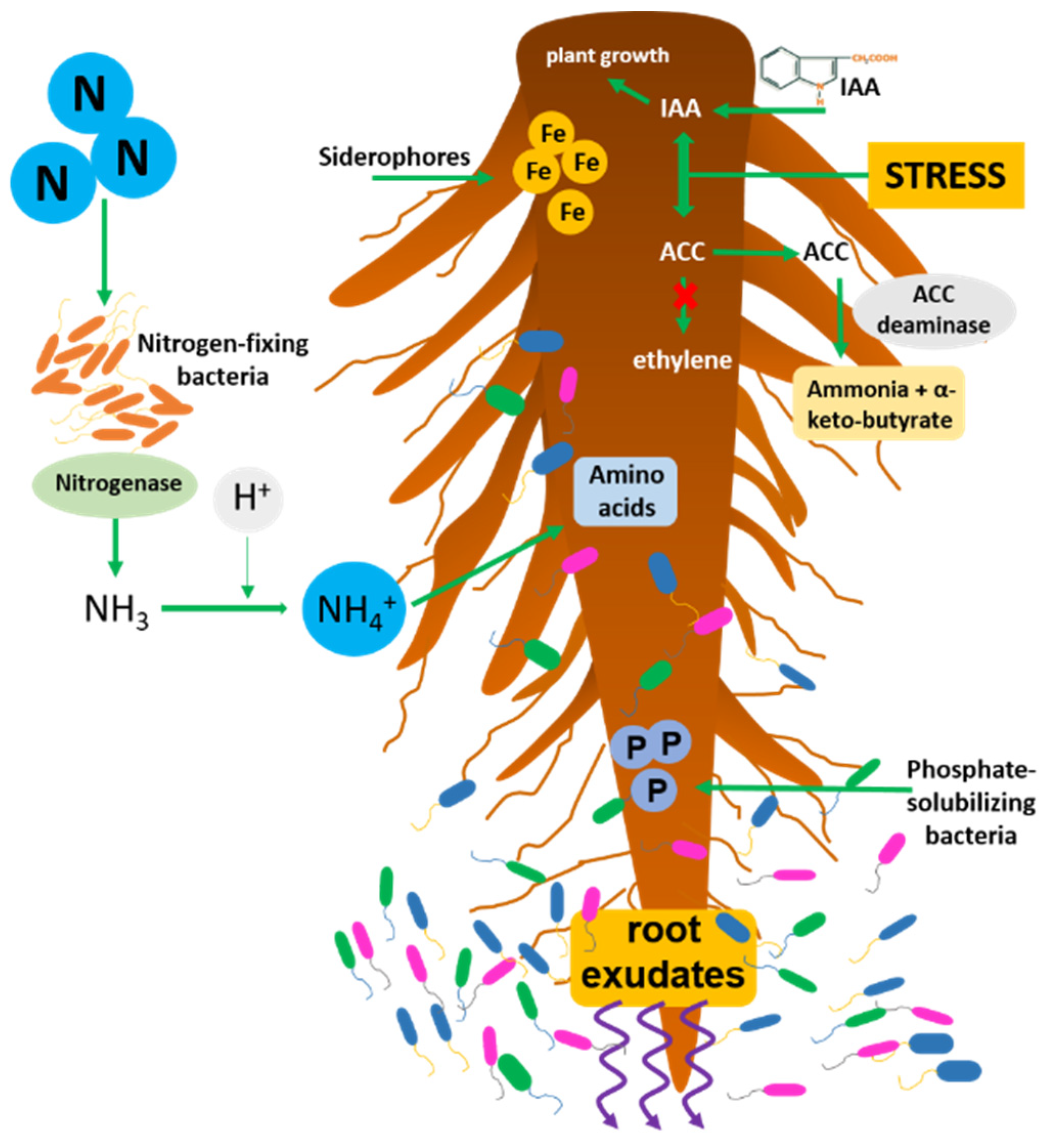 Applsci 12 01231 g002 550