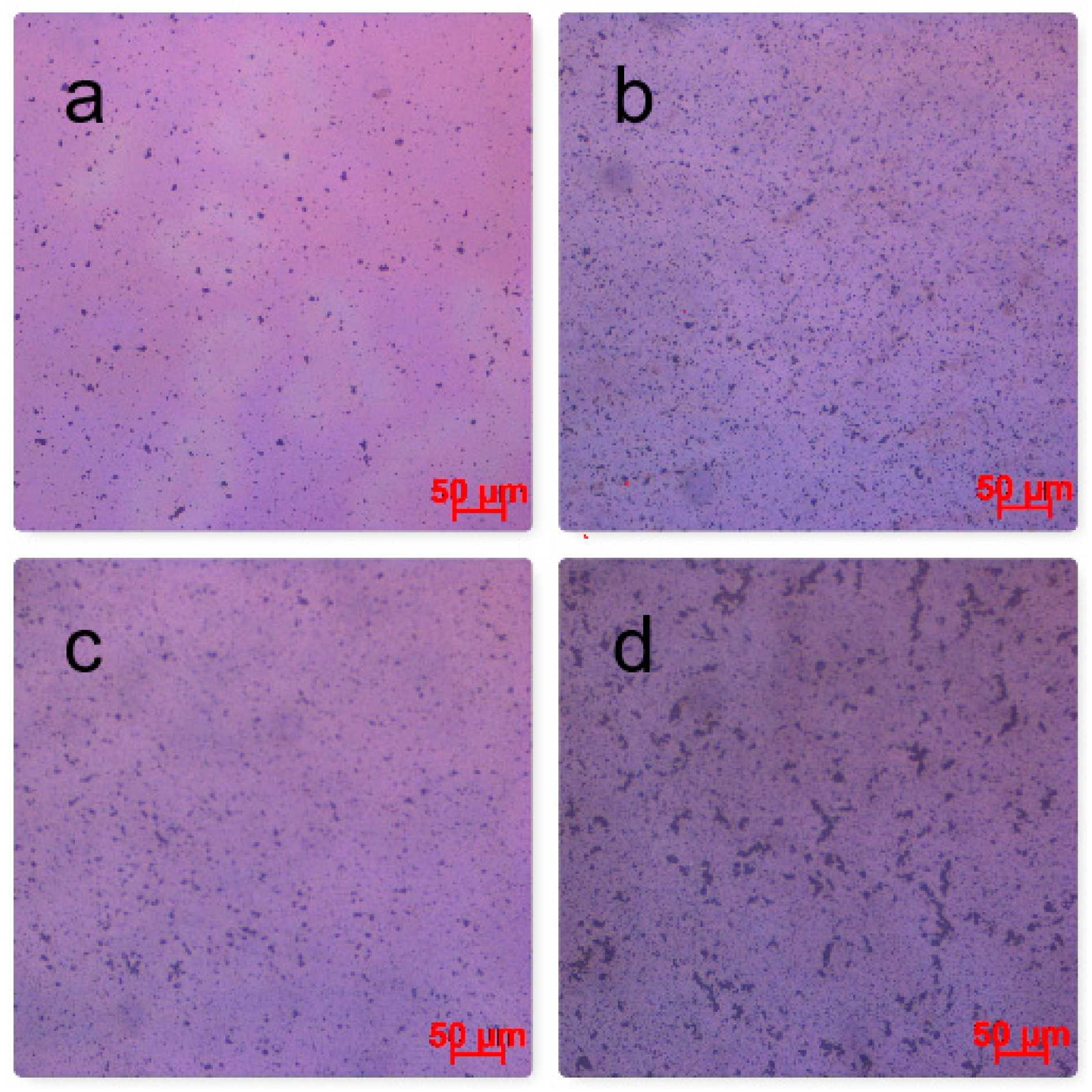 Applsci 12 01236 g005 550