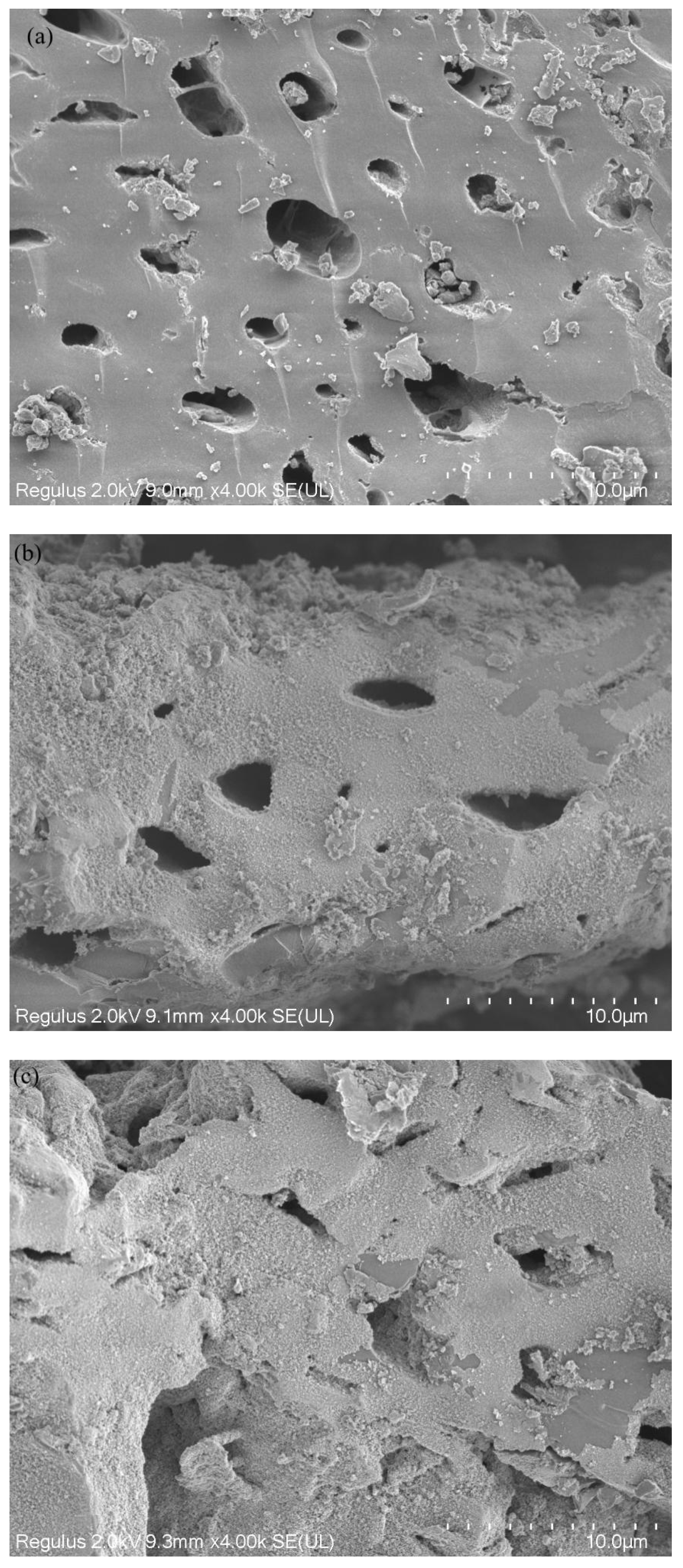 Applsci 12 01238 g001