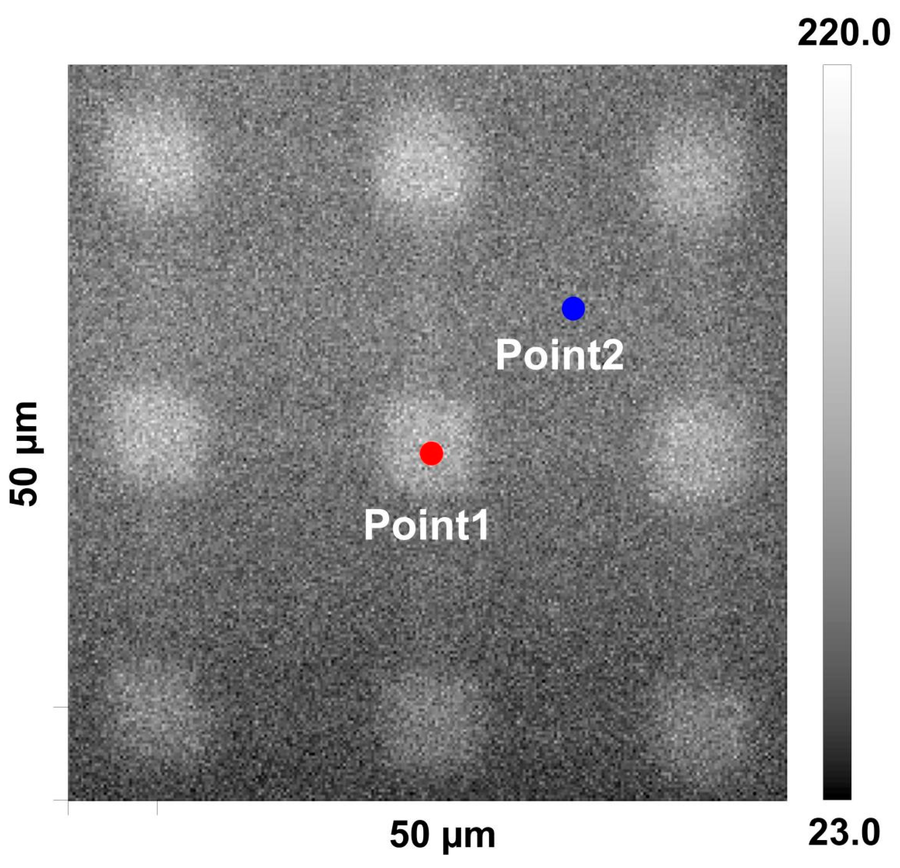 Applsci 12 01245 g004 550