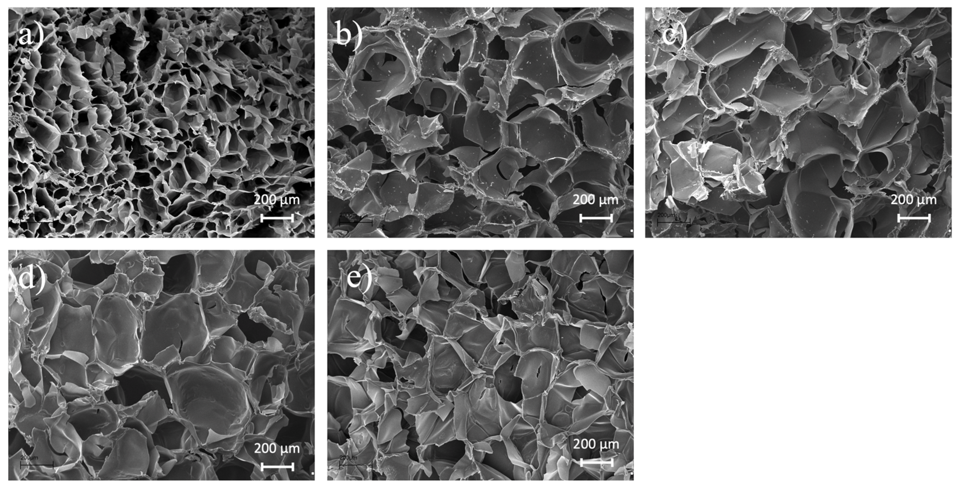 Applsci 12 01258 g004