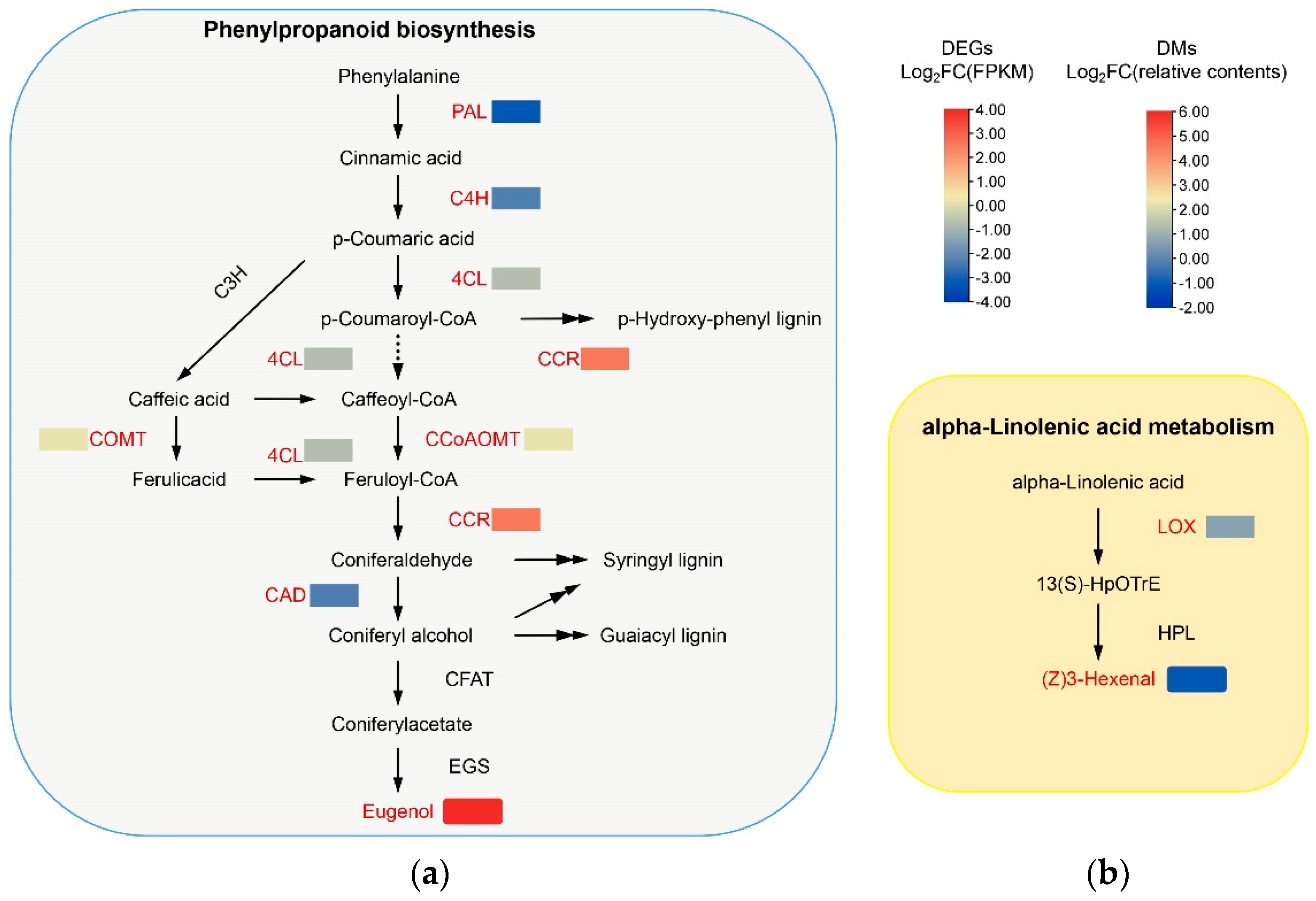 Applsci 12 01262 g007 550