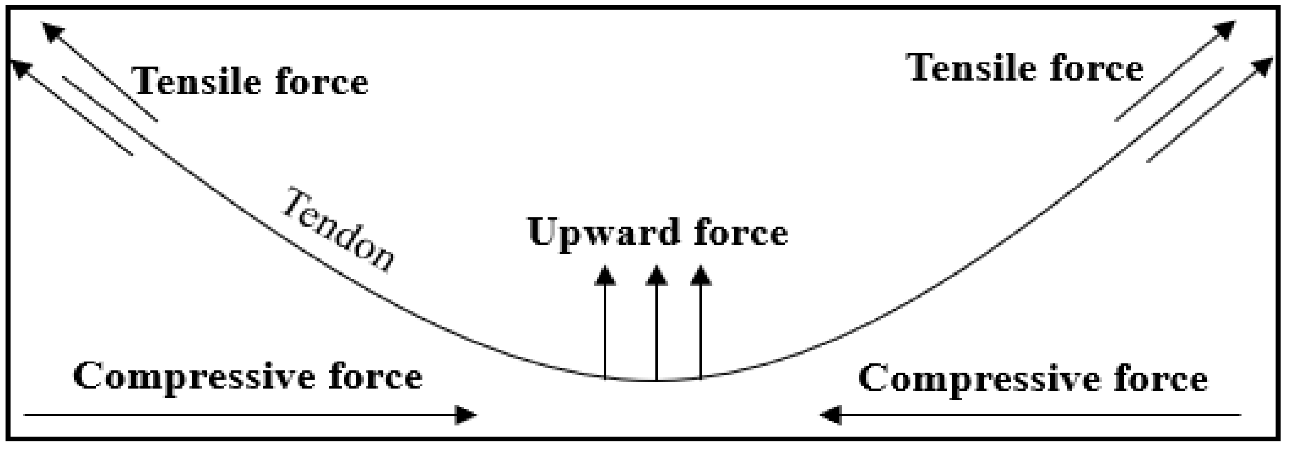Applsci 12 01270 g001 550