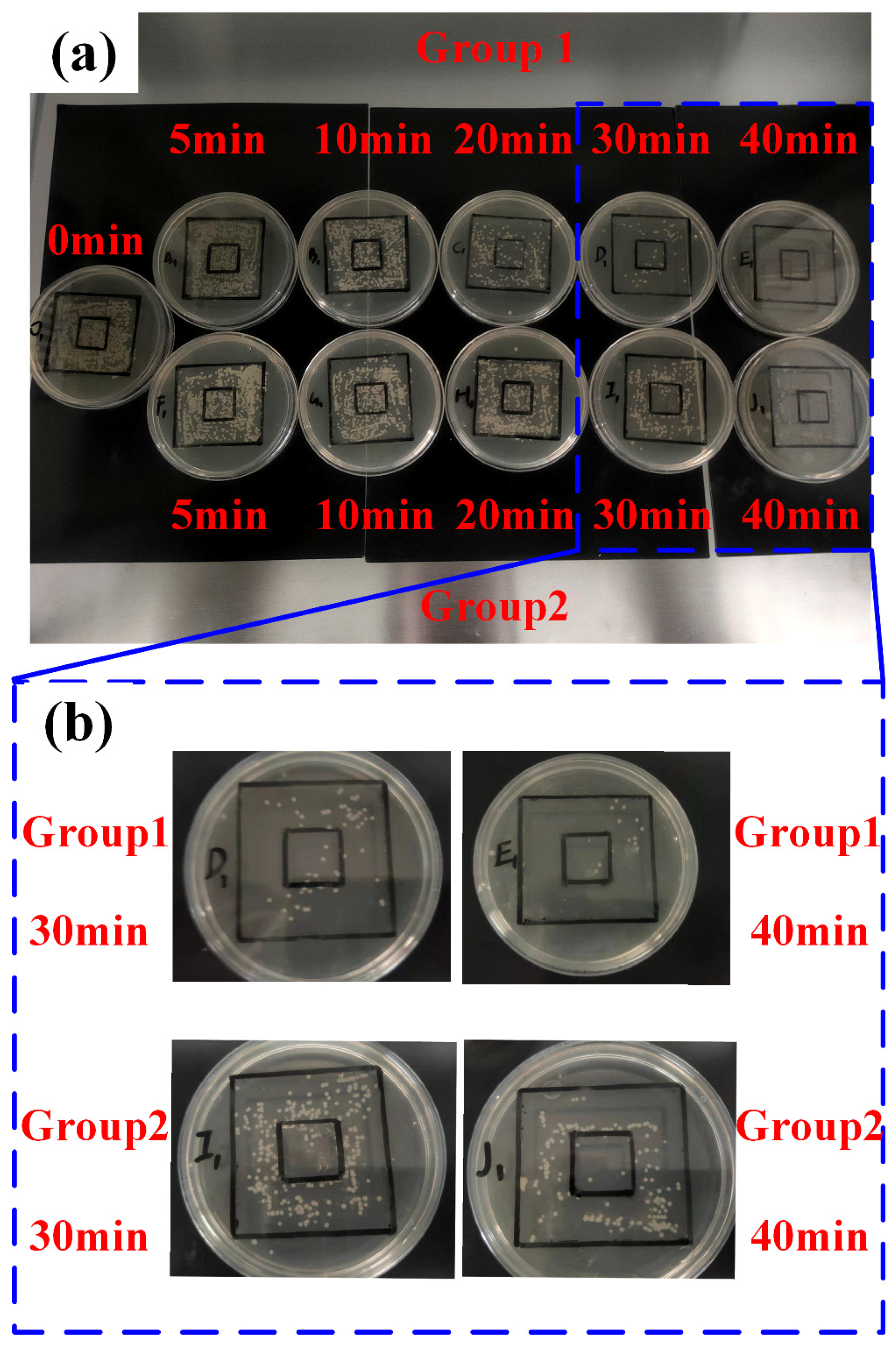 Applsci 12 01285 g007