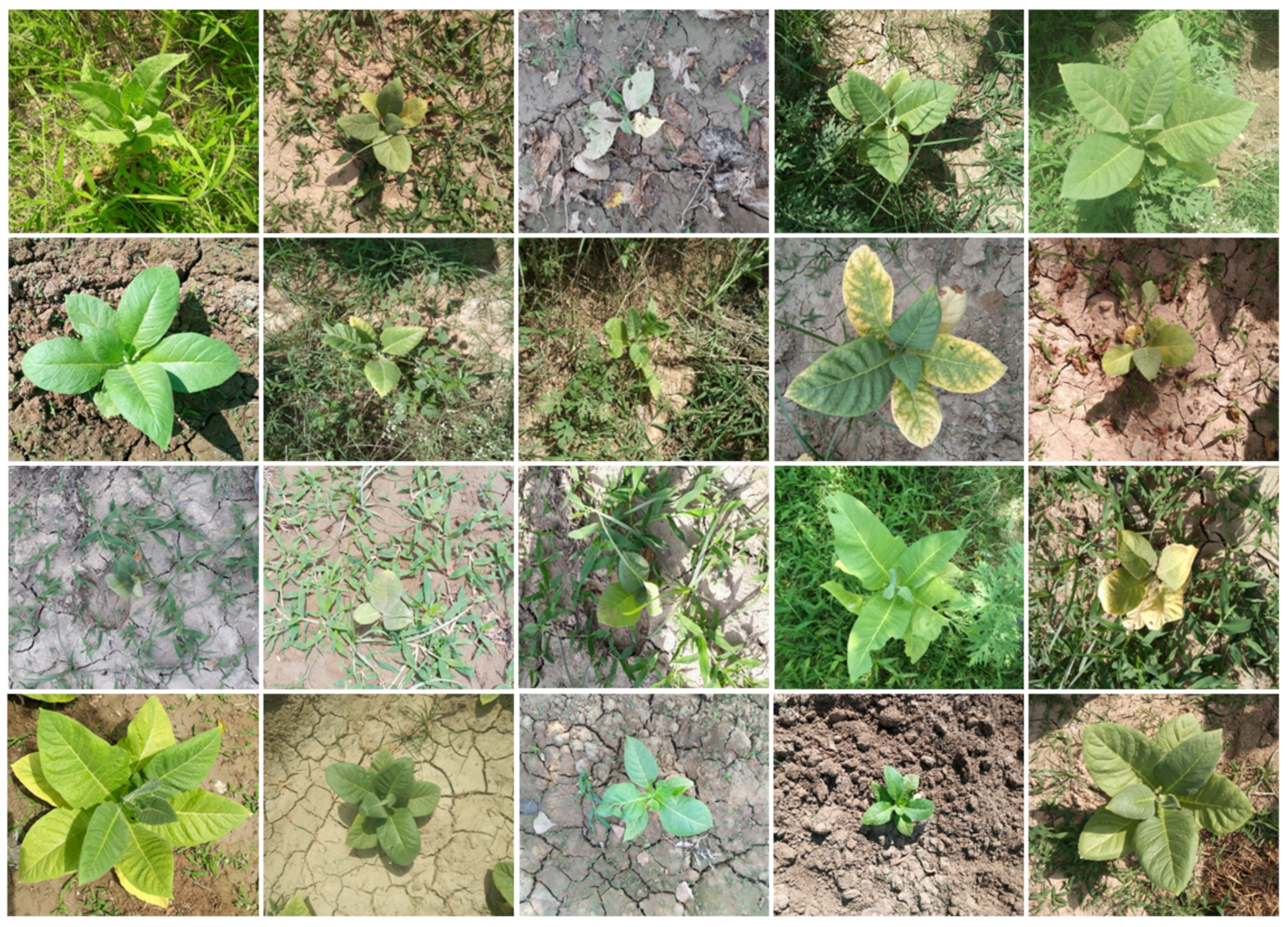 Applsci 12 01308 g002