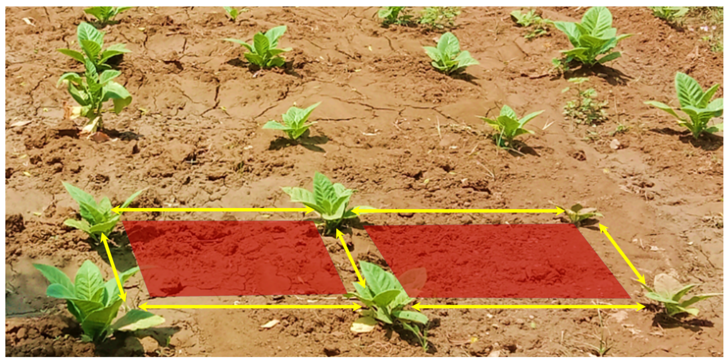 Applsci 12 01308 g003