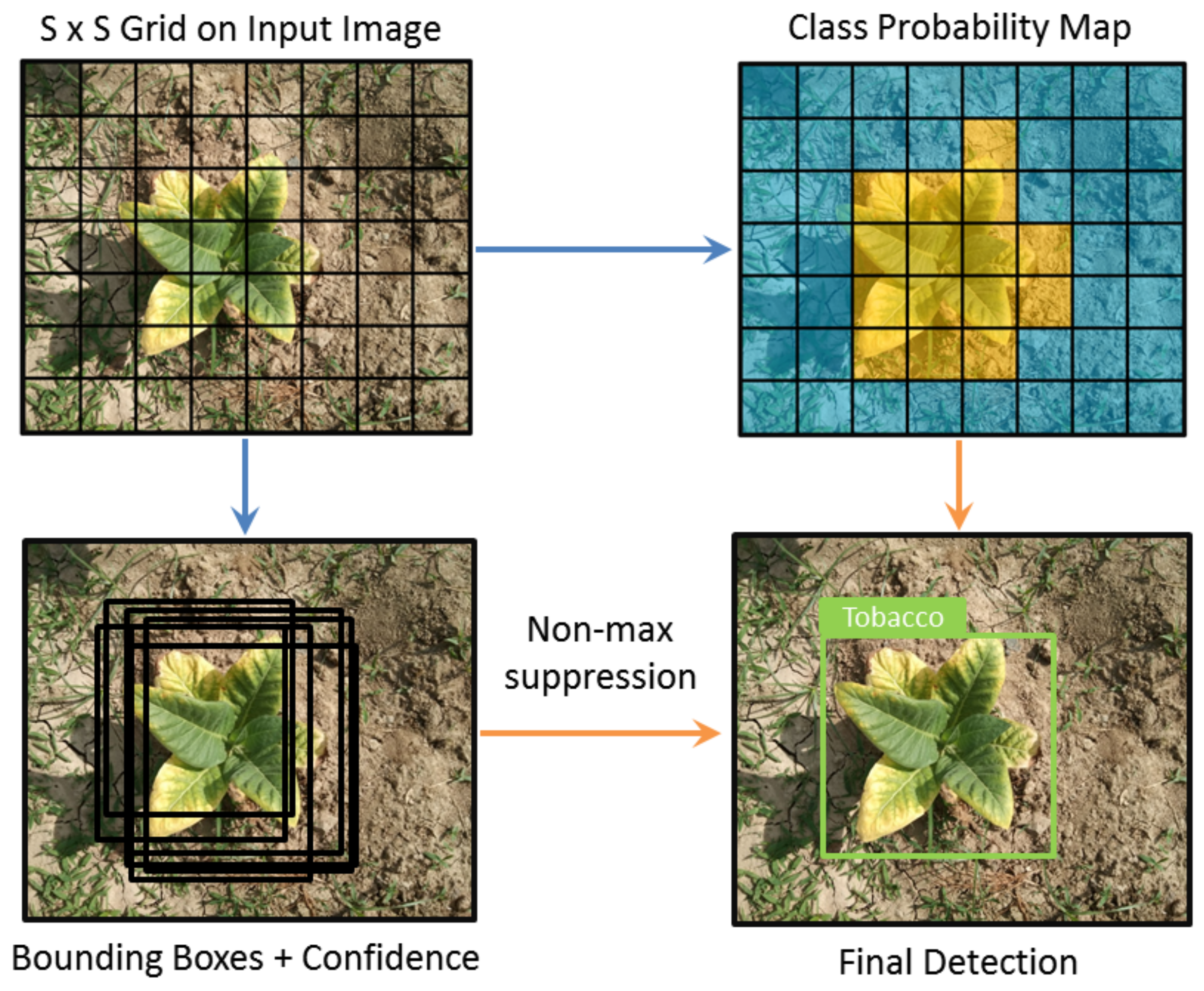 Applsci 12 01308 g006