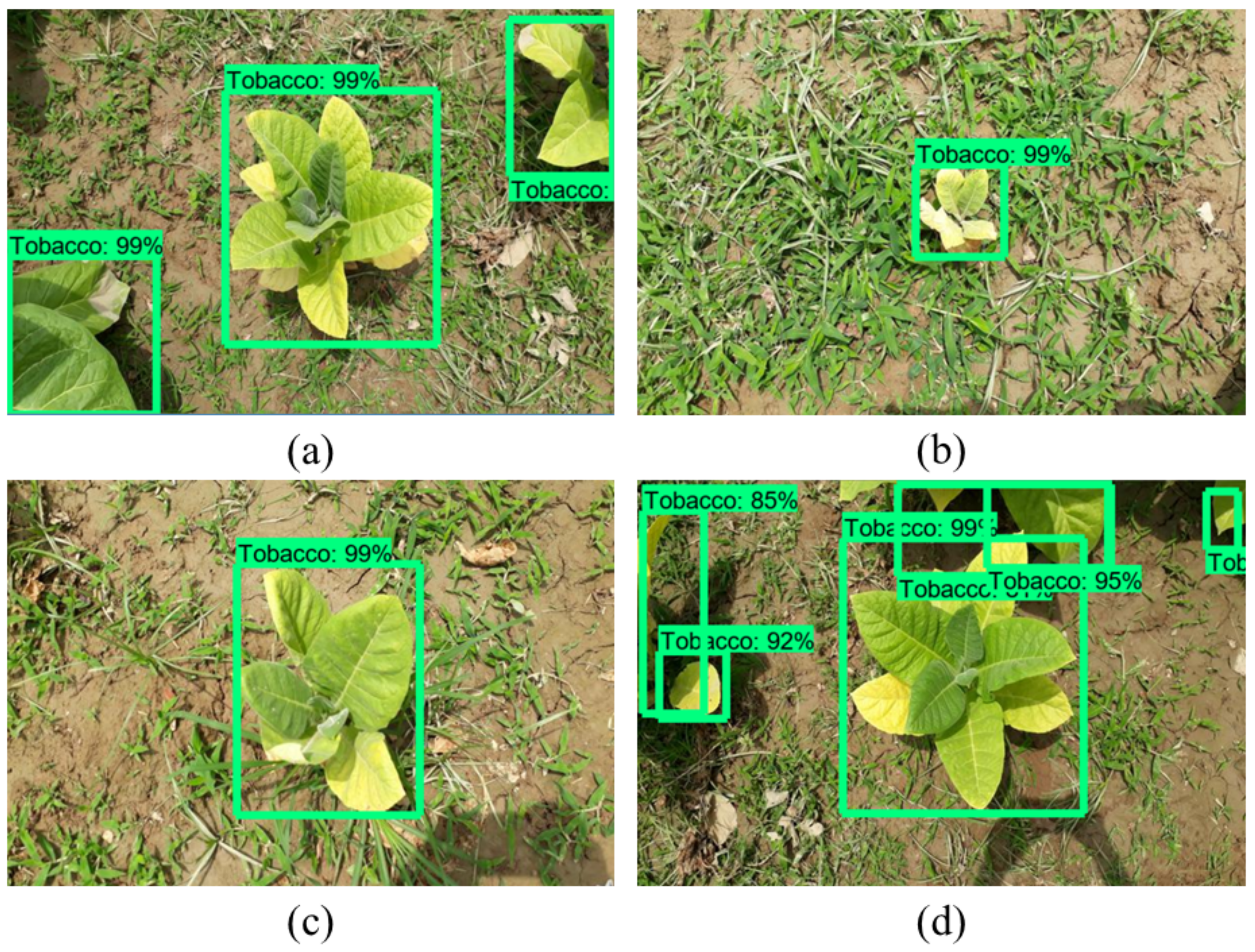 Applsci 12 01308 g010