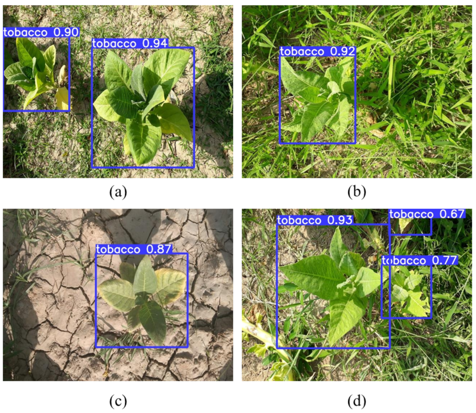 Applsci 12 01308 g011