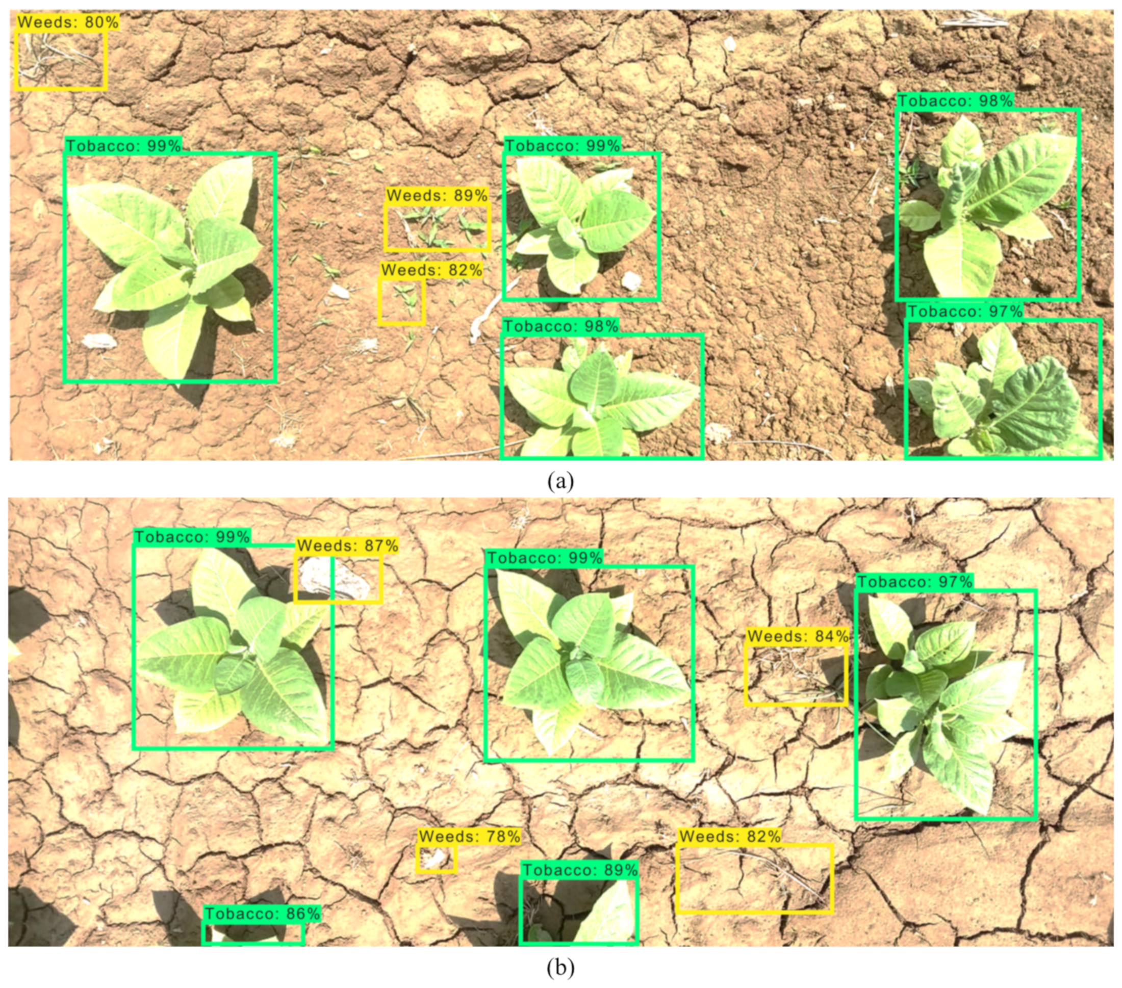 Applsci 12 01308 g013