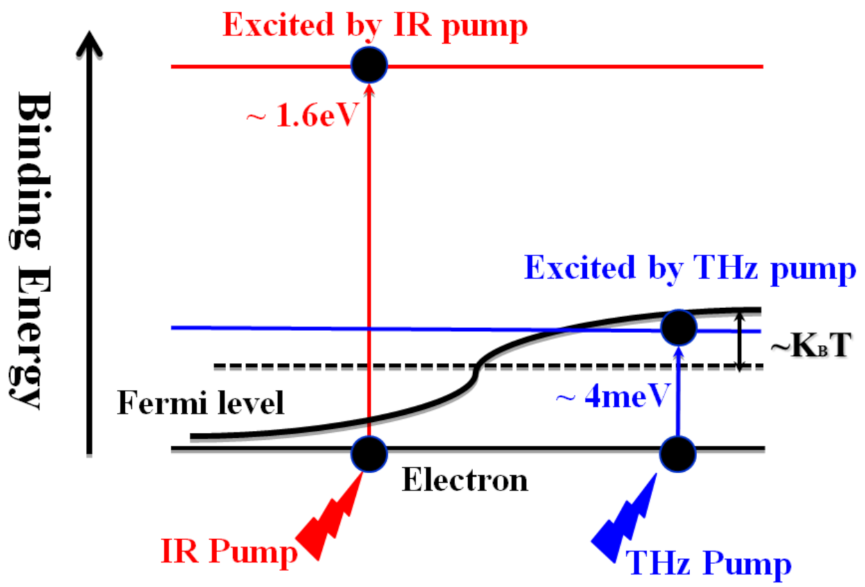 Applsci 12 01323 g001