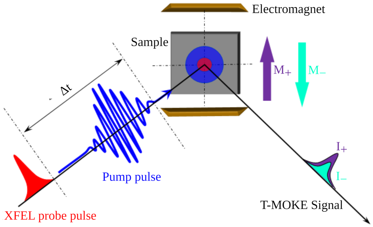 Applsci 12 01323 g003