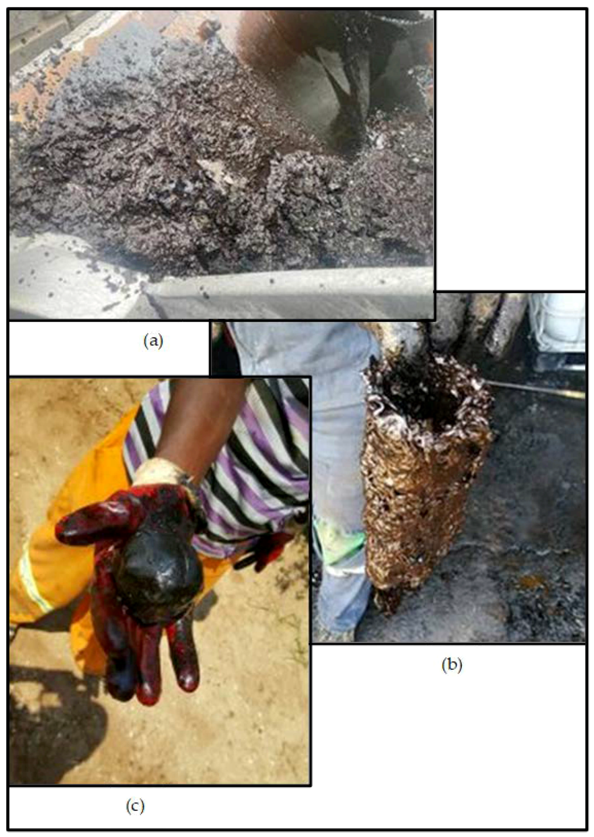 Applsci 12 01332 g006 550