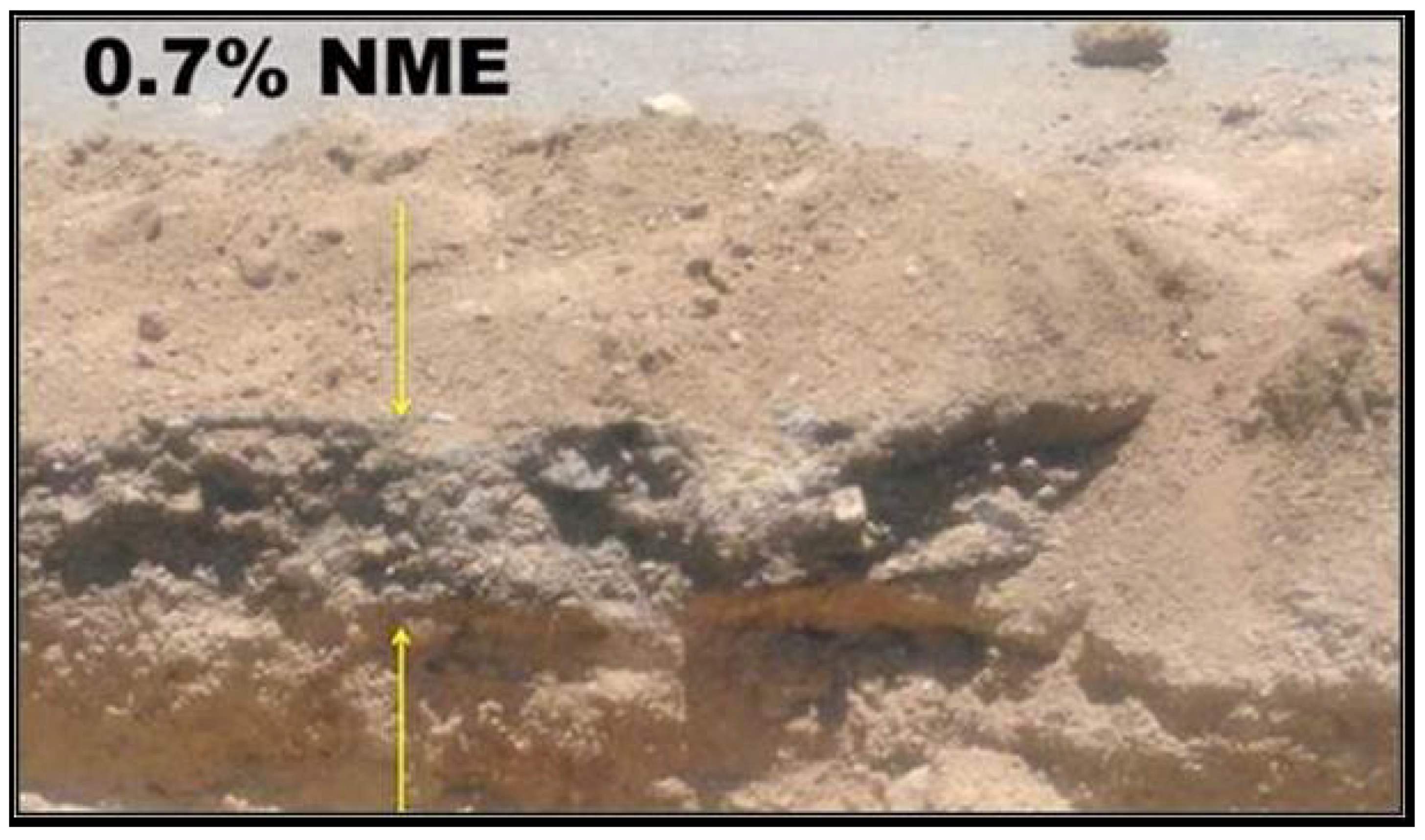 Applsci 12 01332 g016 550