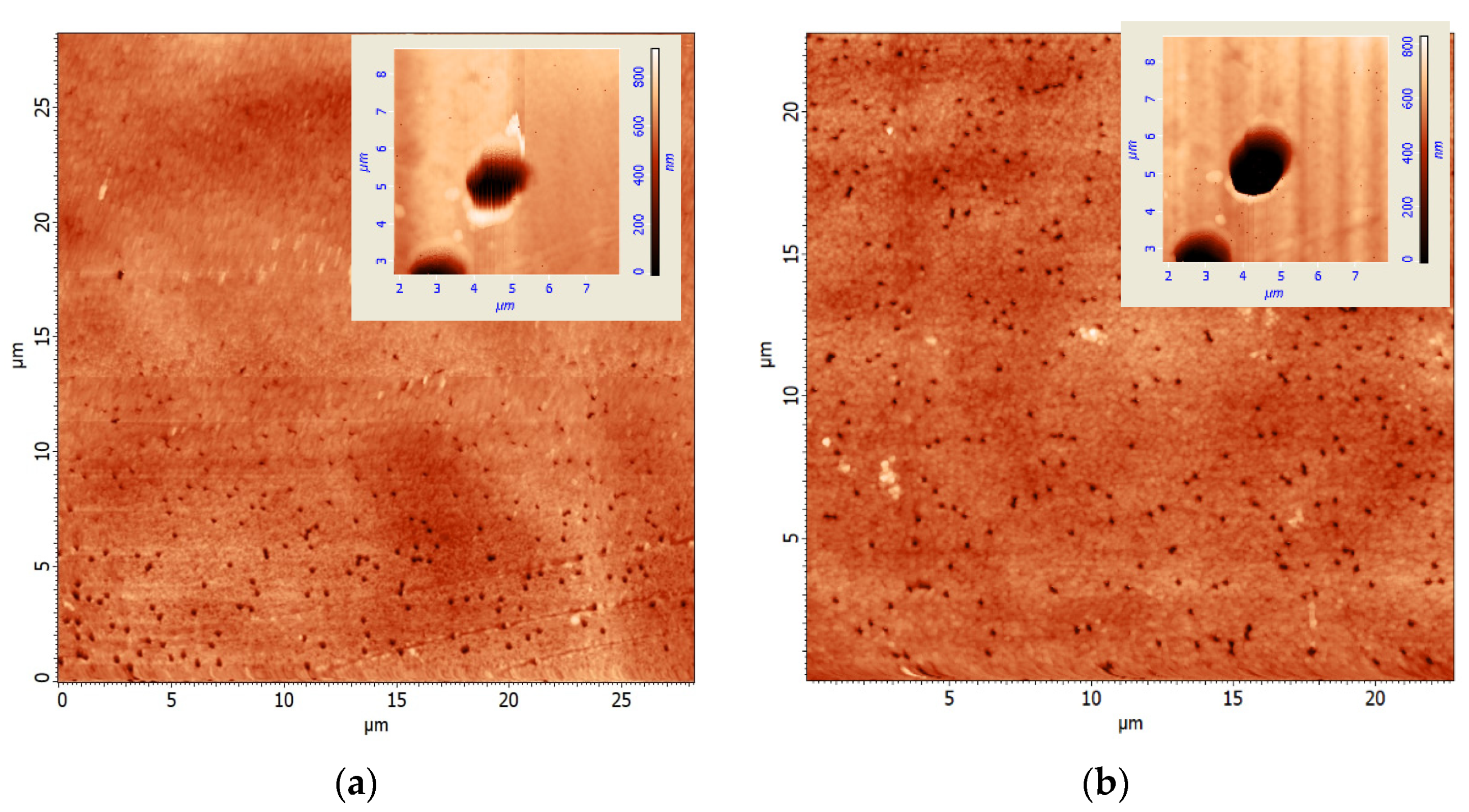 Applsci 12 01334 g003 550
