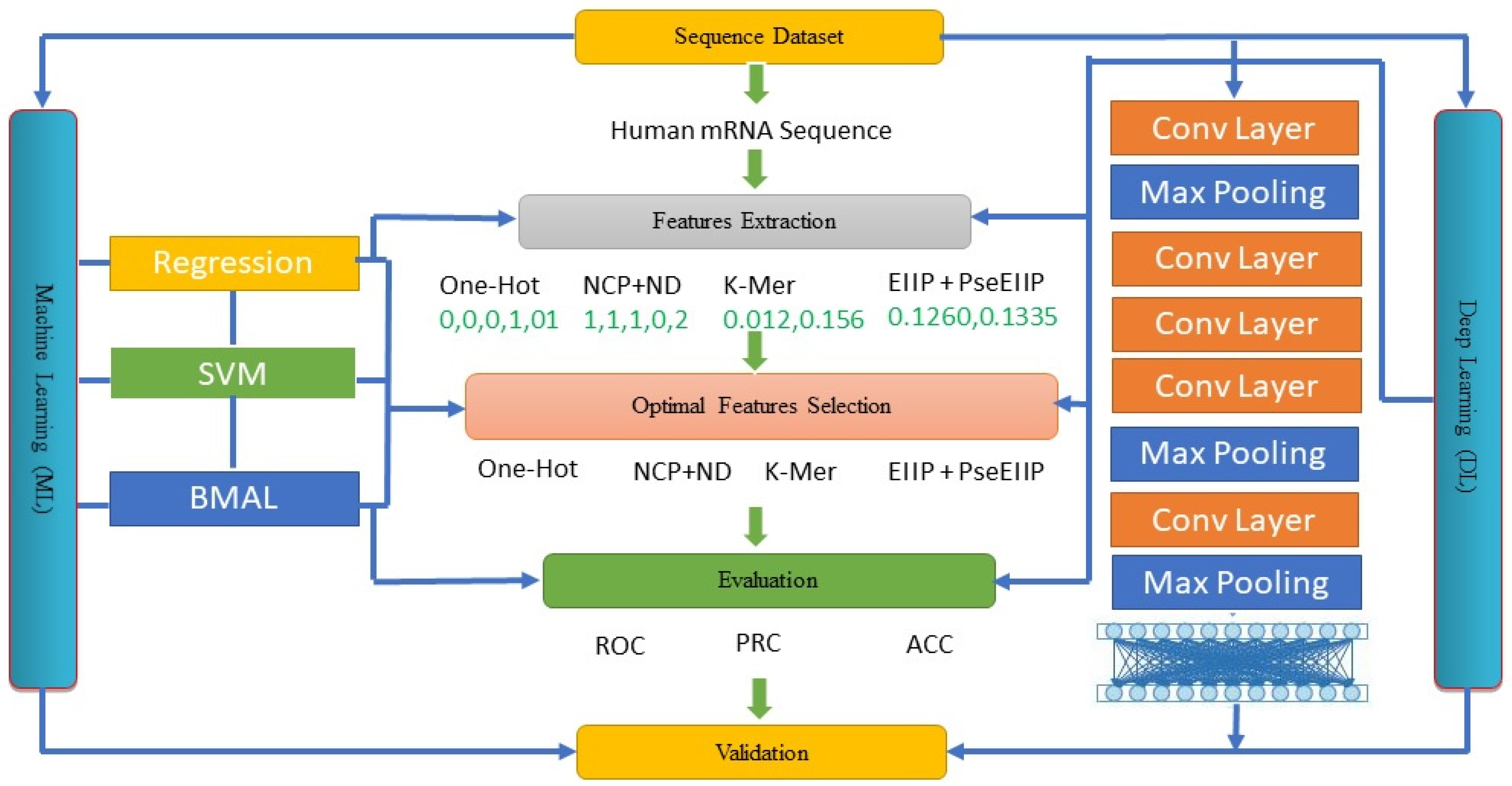 Applsci 12 01344 g001 550