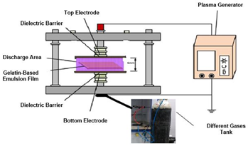 Applsci 12 01346 i019