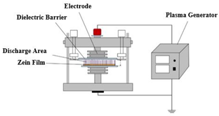Applsci 12 01346 i021