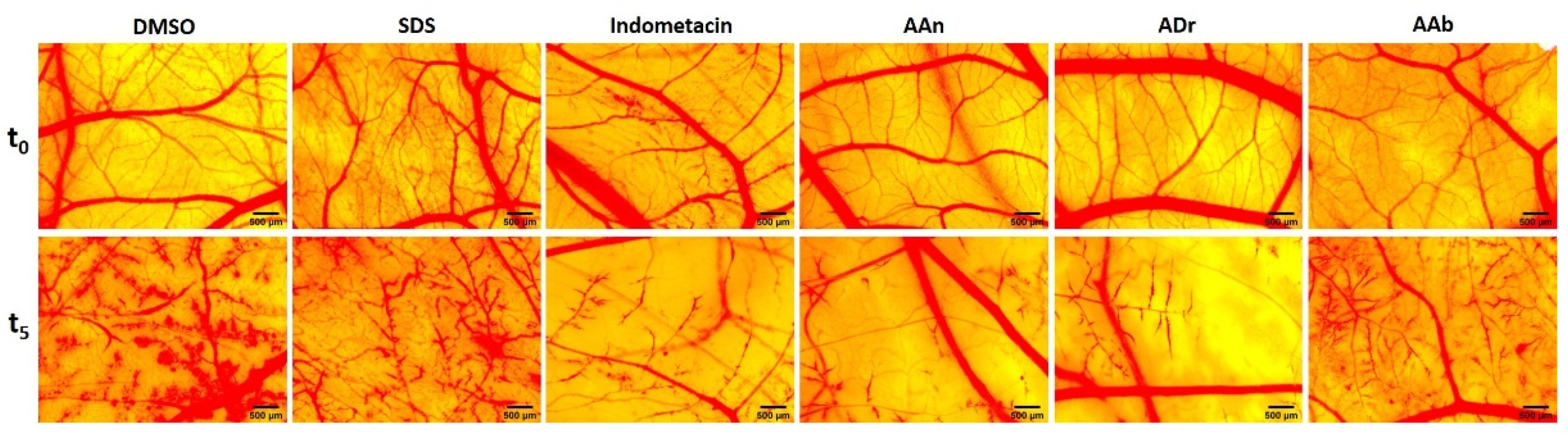 Applsci 12 01359 g006 Applsci 12 01359 g006