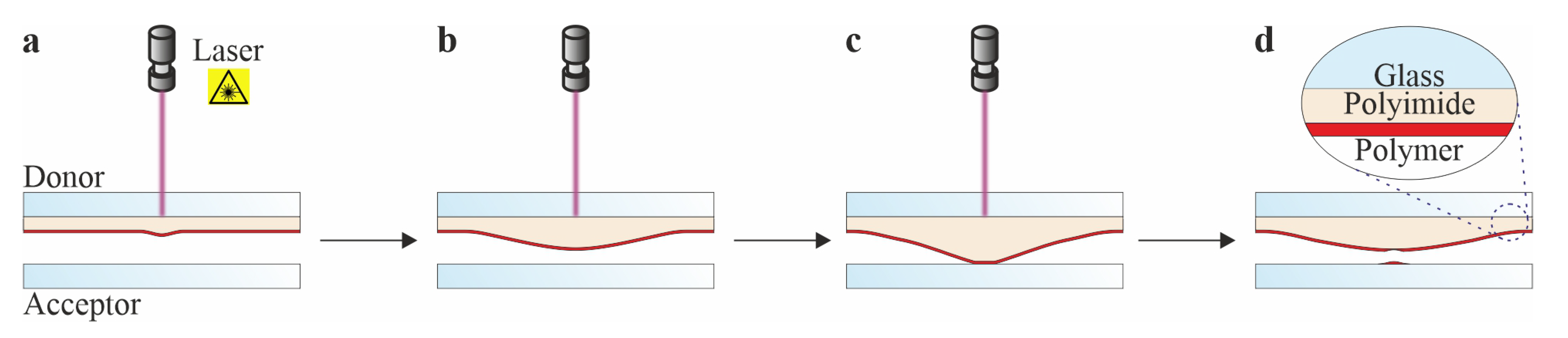 Applsci 12 01361 g001 Applsci 12 01361 g001
