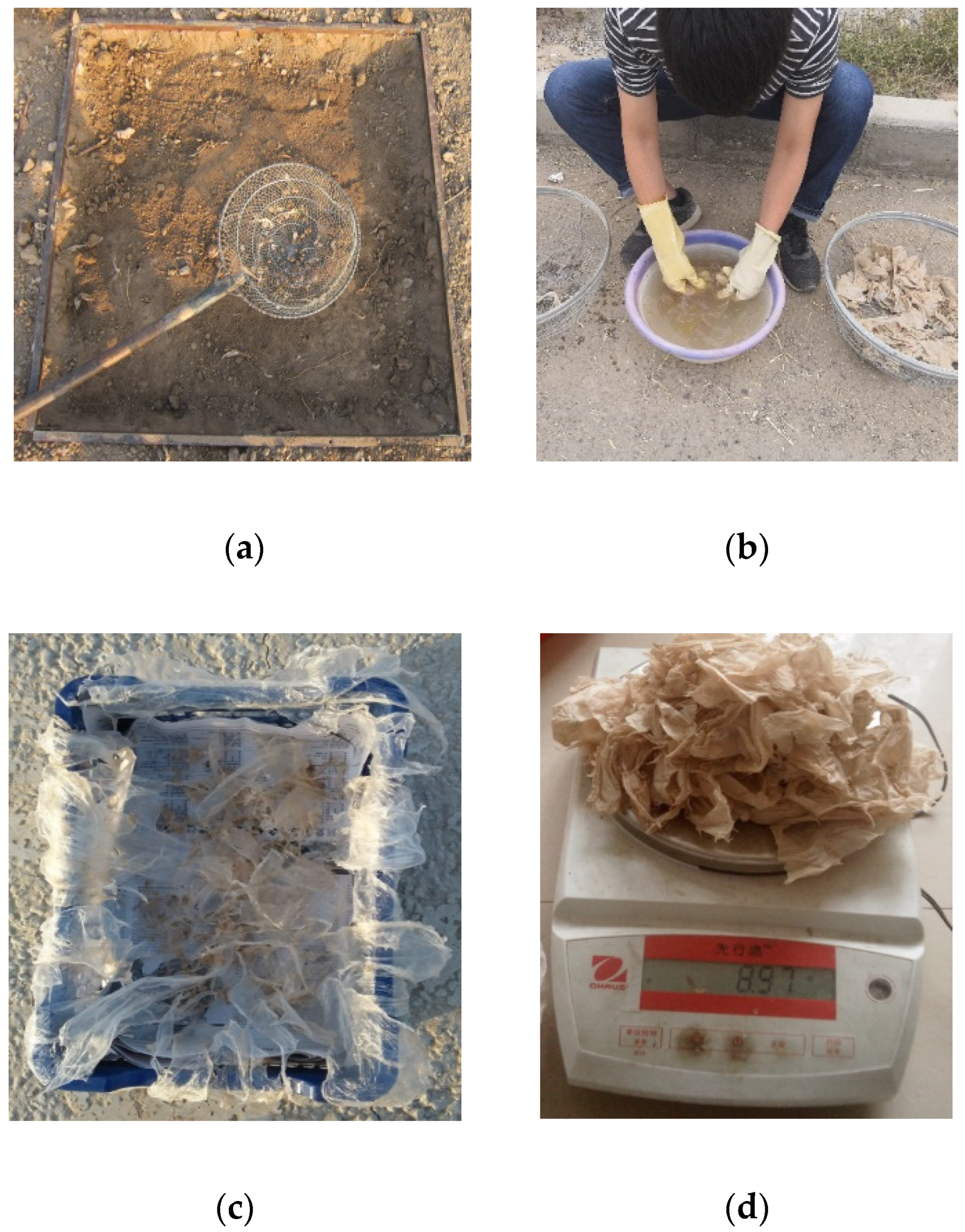 Applsci 12 01366 g004 550