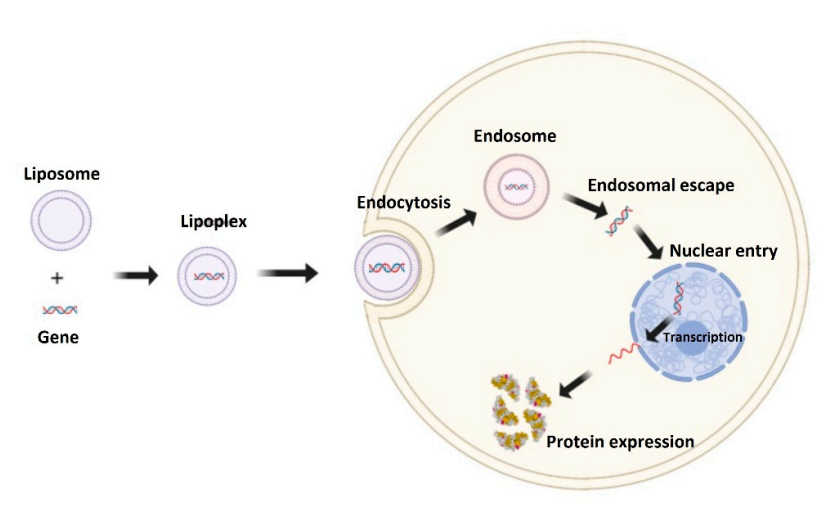 Applsci 12 01373 g002 Applsci 12 01373 g002