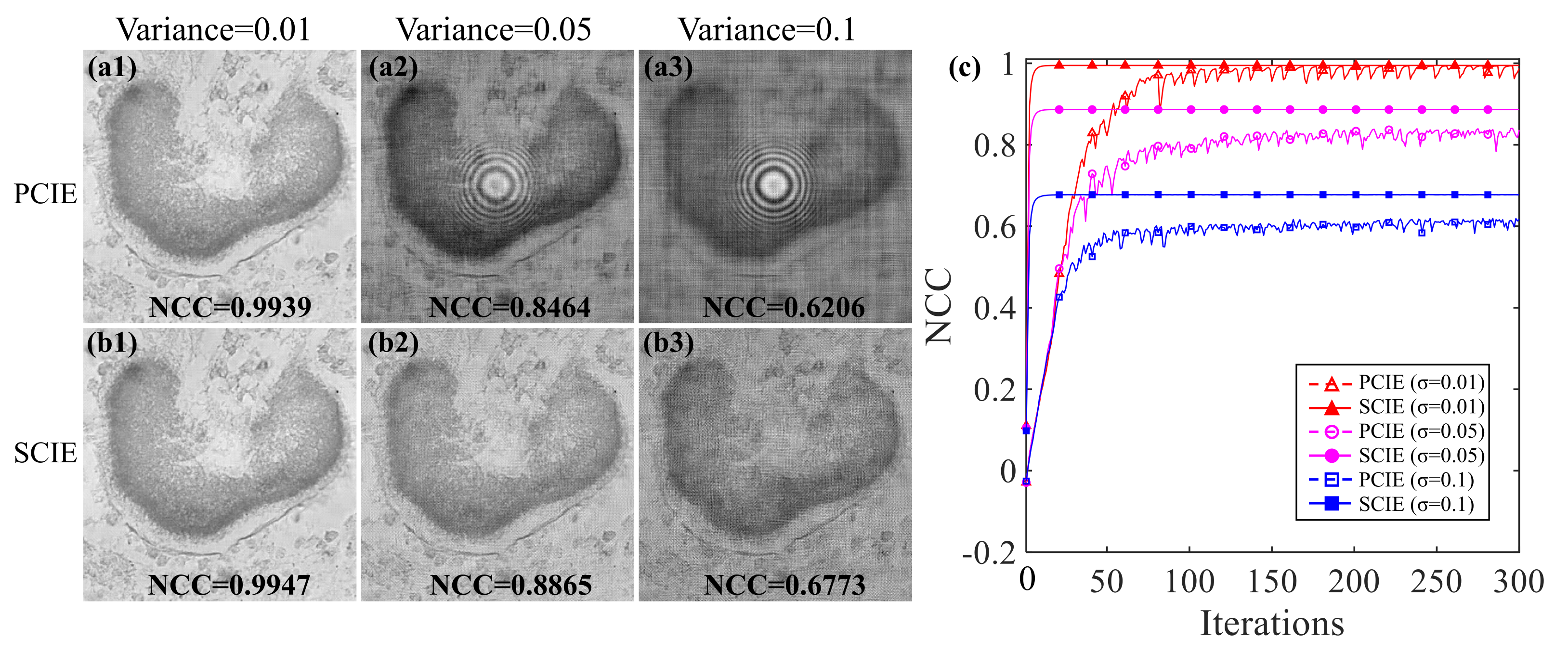 Applsci 12 01378 g005
