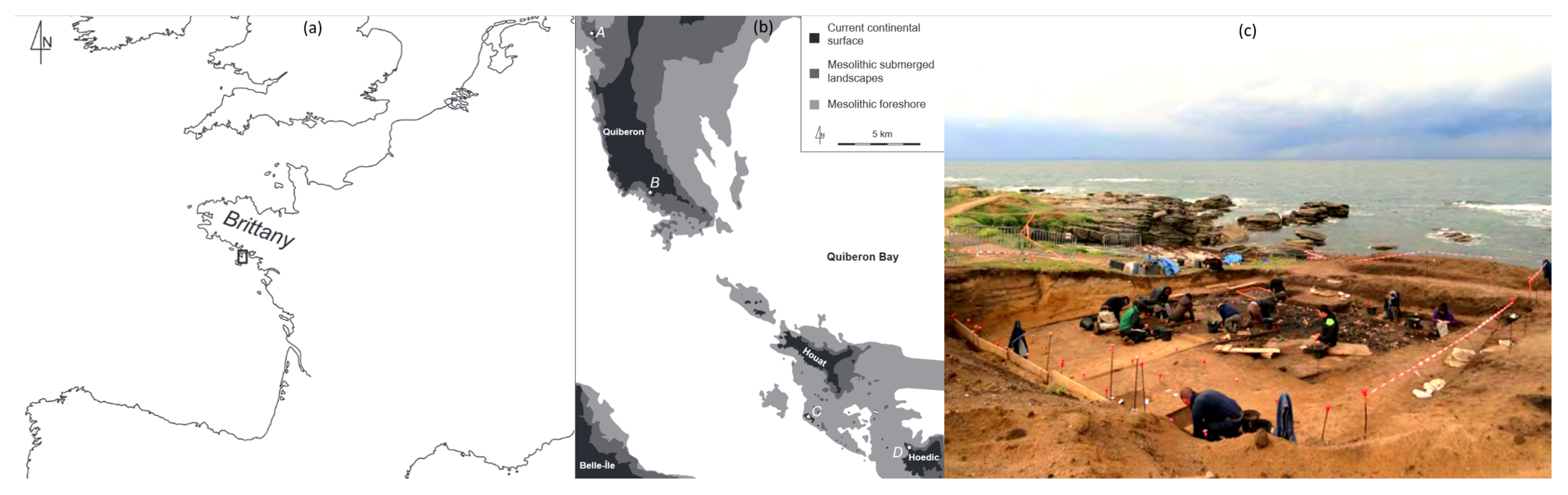 Applsci 12 01381 g001 Applsci 12 01381 g001