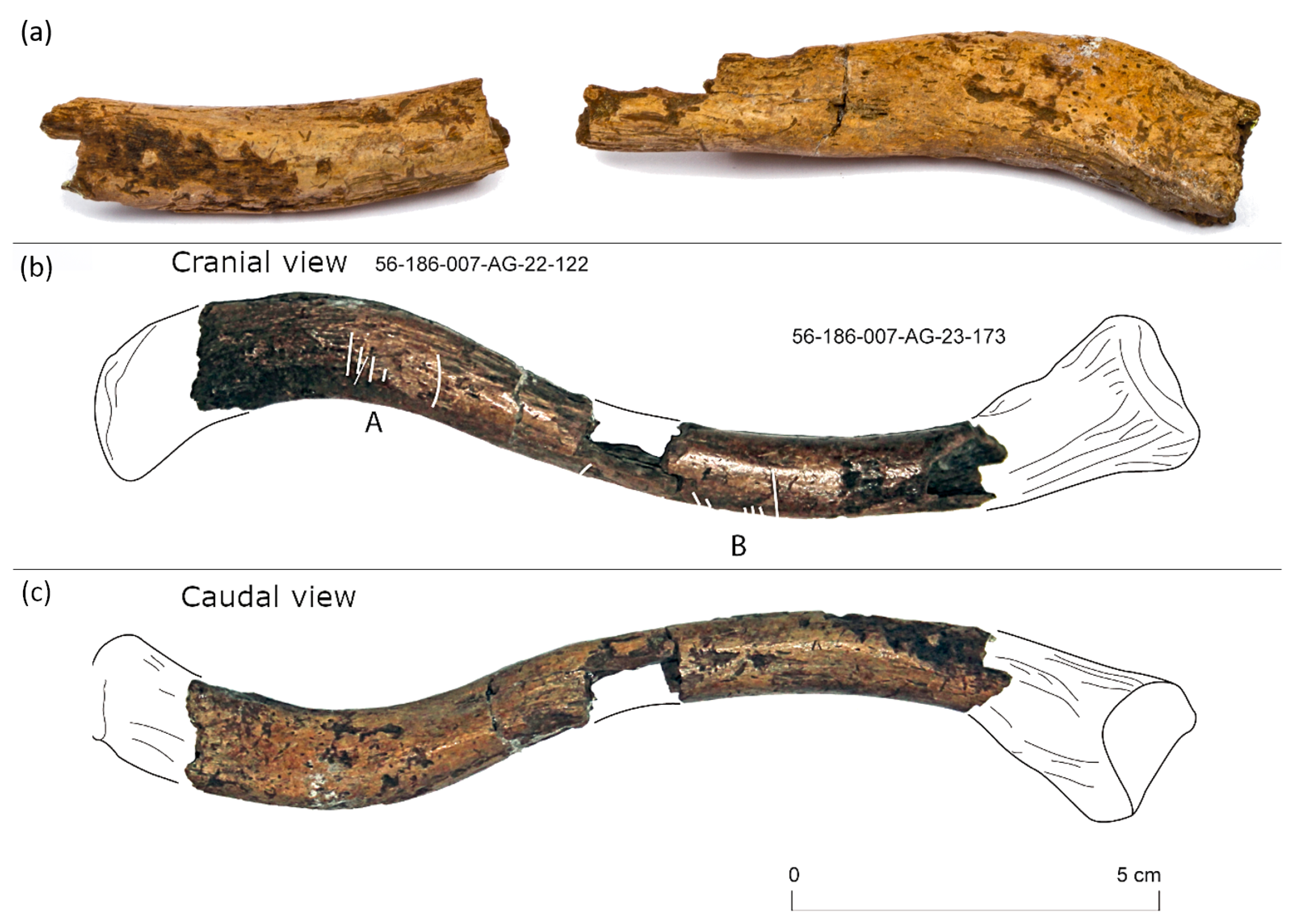 Applsci 12 01381 g003 Applsci 12 01381 g003