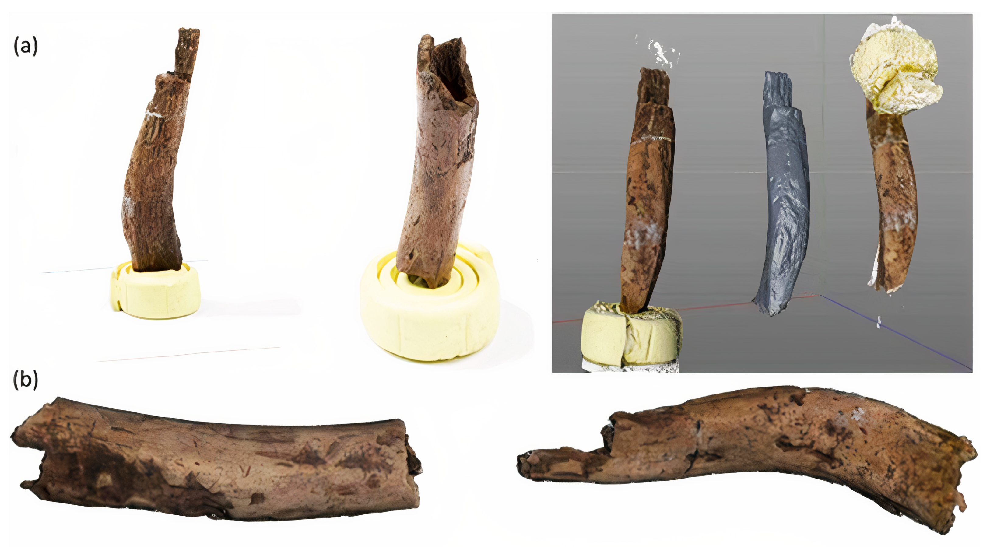 Applsci 12 01381 g005 Applsci 12 01381 g005