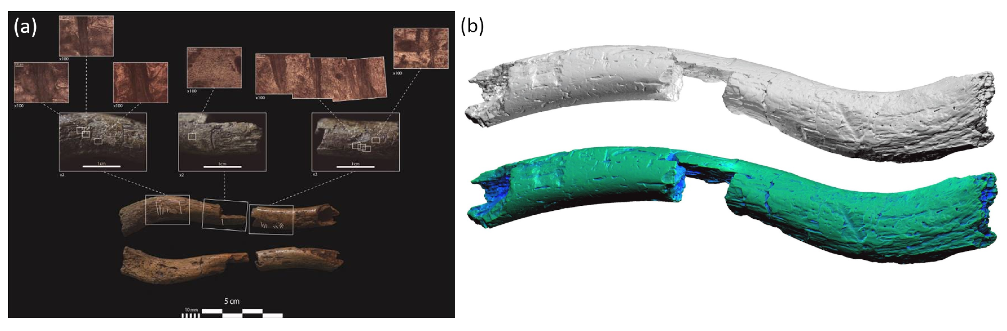 Applsci 12 01381 g008 Applsci 12 01381 g008